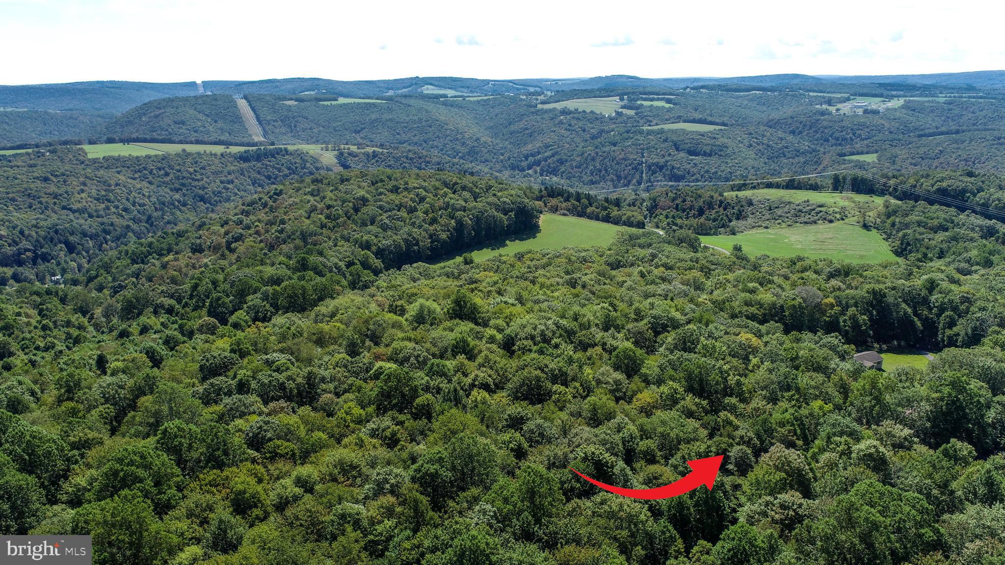 Lot 11 TURKEY RUN ROAD