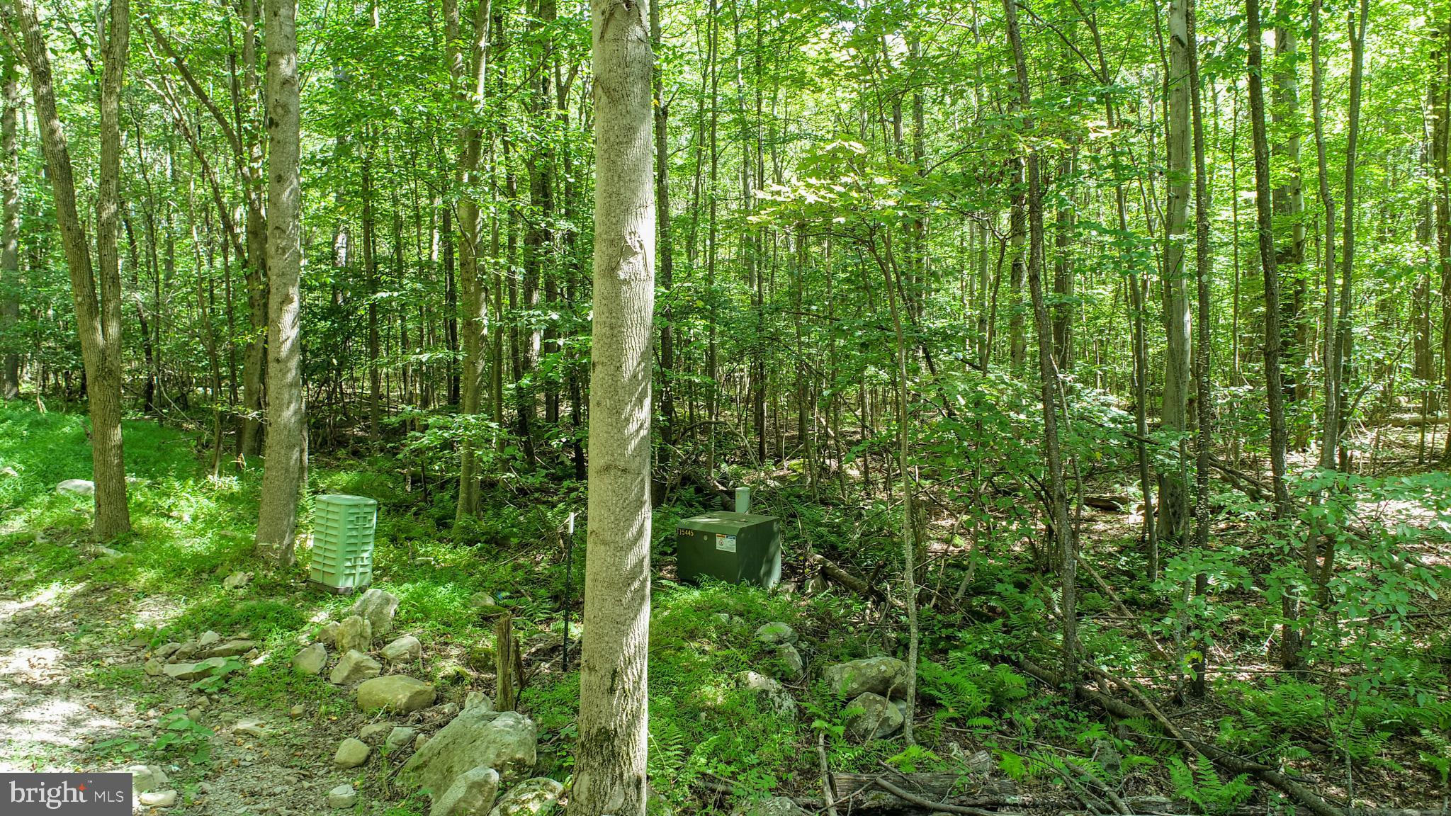 Lot 11 TURKEY RUN ROAD