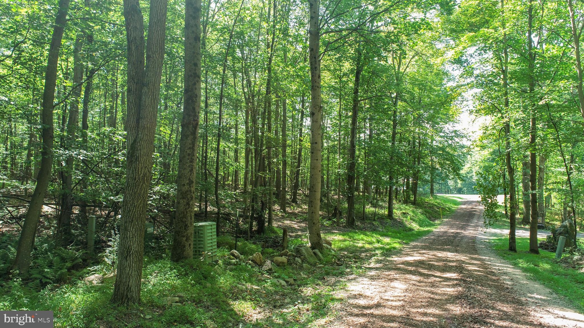 Lot 11 TURKEY RUN ROAD