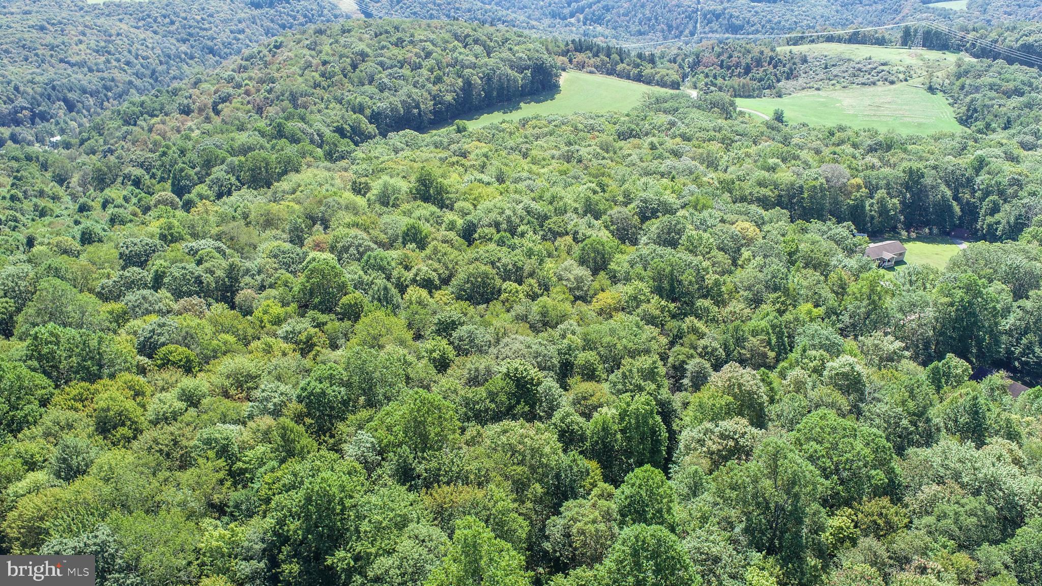 Lot 11 TURKEY RUN ROAD