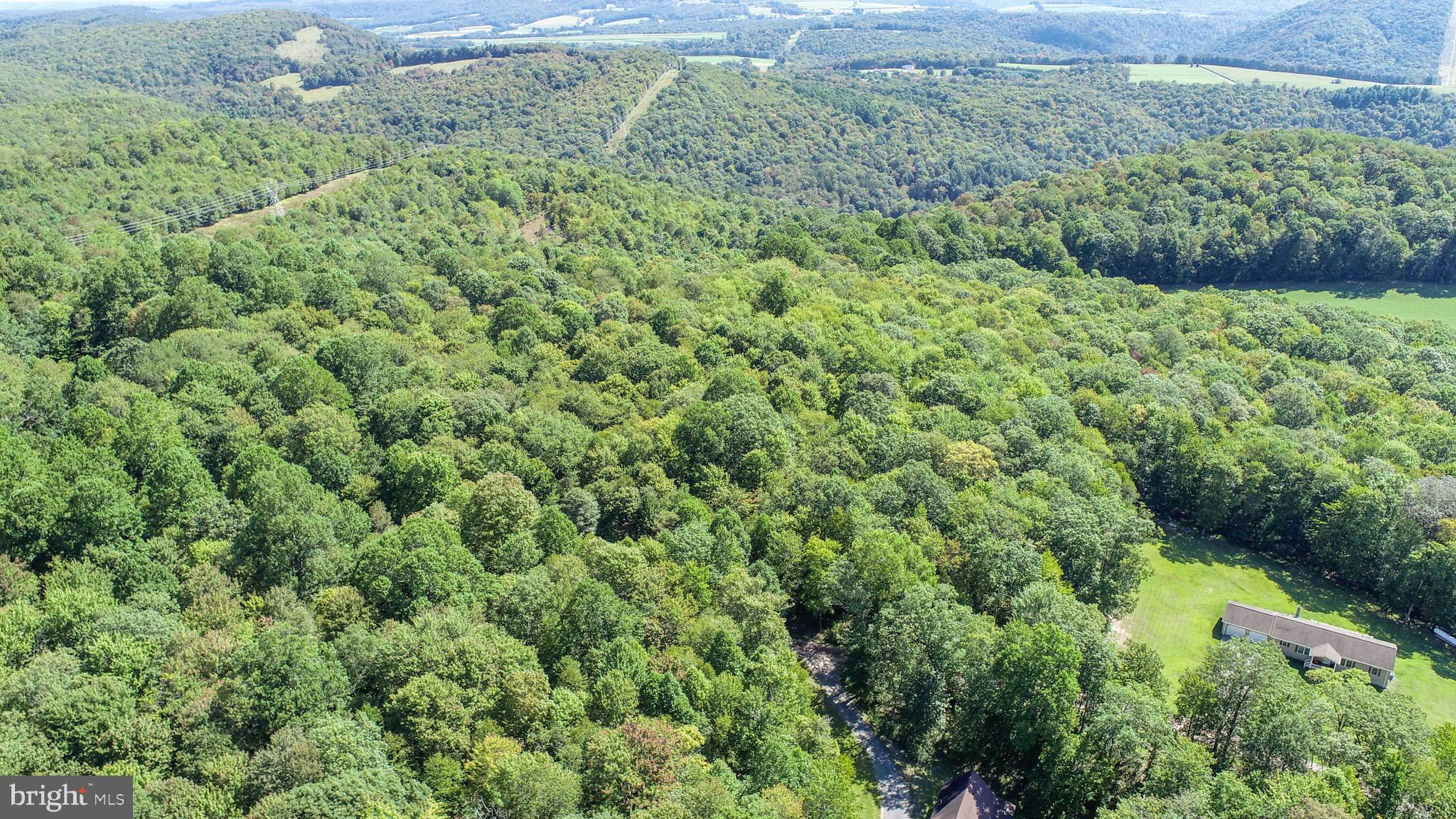 Lot 11 TURKEY RUN ROAD