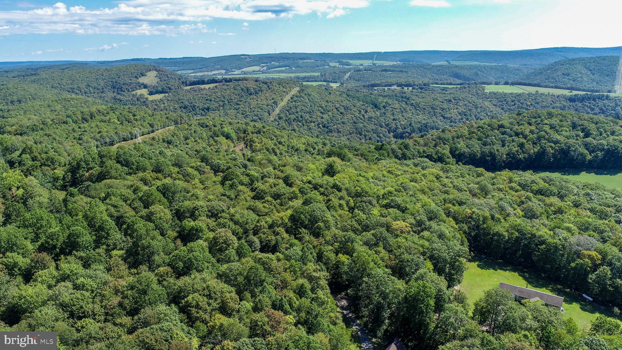 Lot 11 TURKEY RUN ROAD