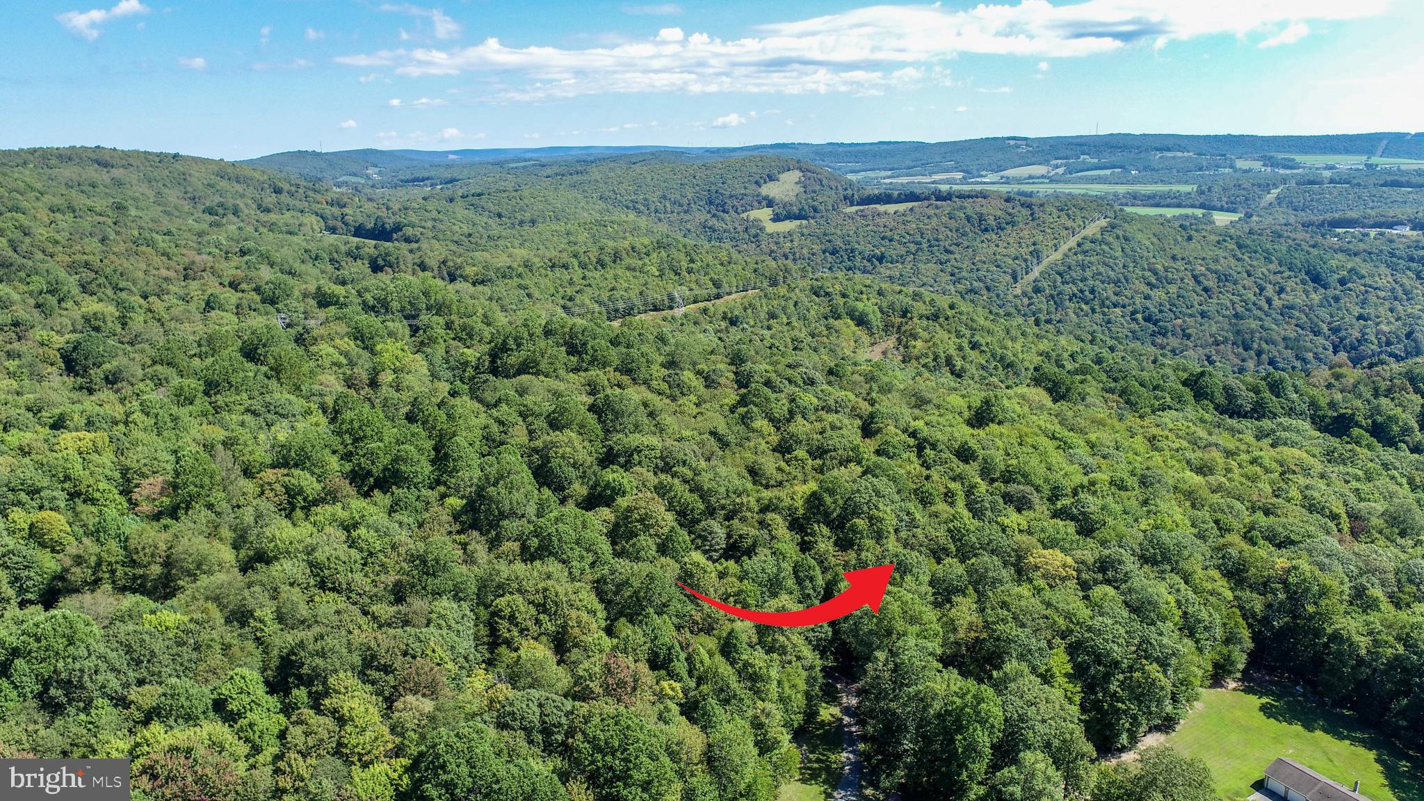 Lot 11 TURKEY RUN ROAD