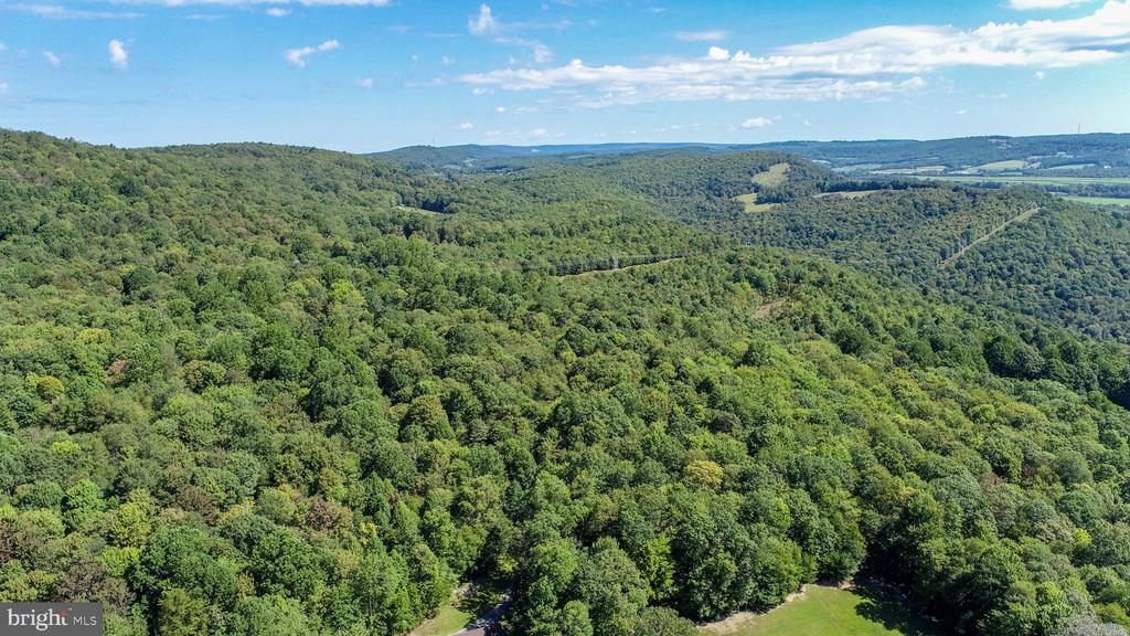 Lot 11 TURKEY RUN ROAD