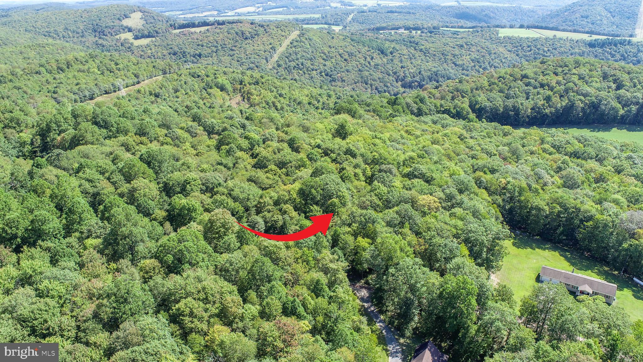 Lot 11 TURKEY RUN ROAD