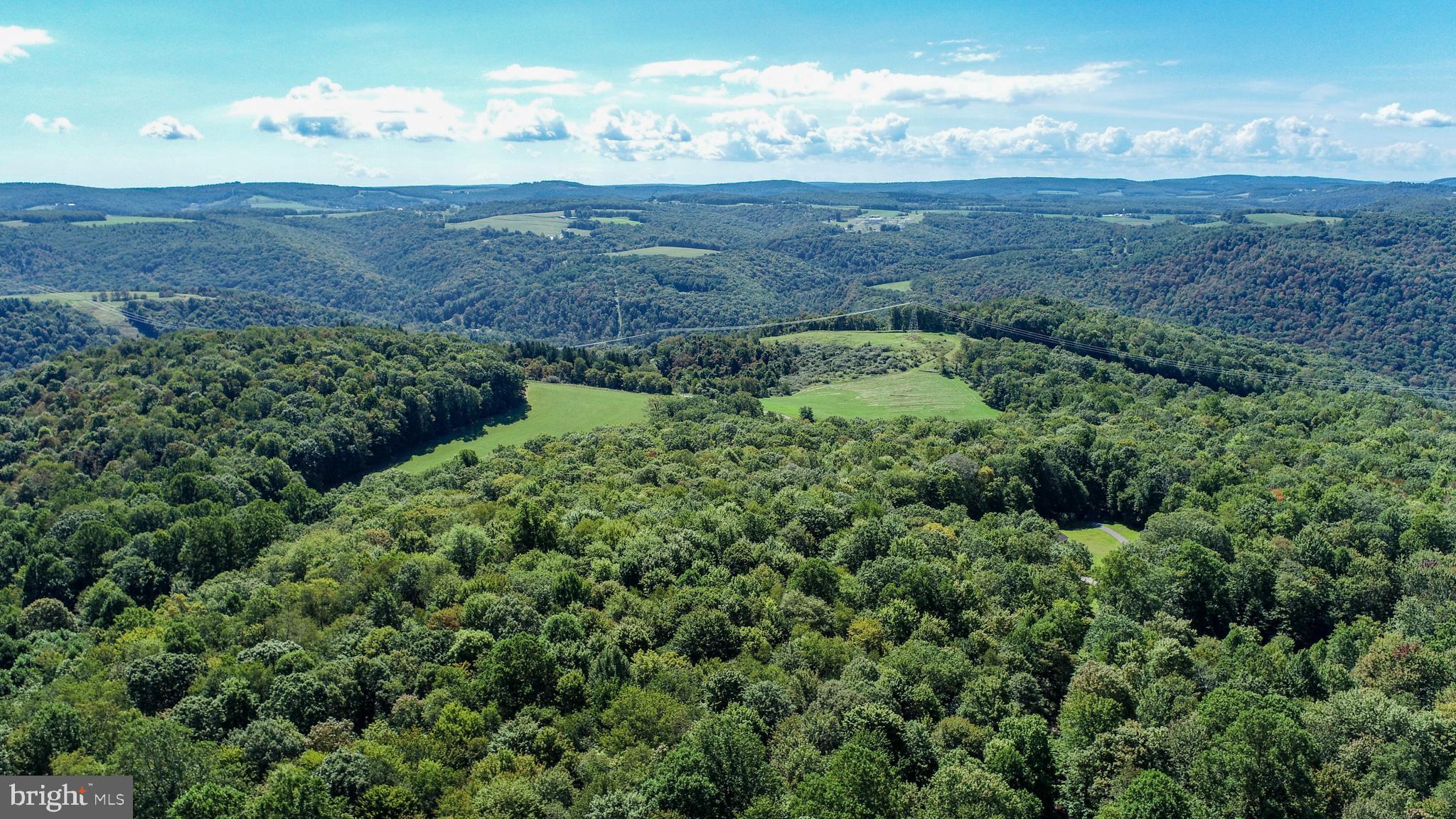 Lot 11 TURKEY RUN ROAD