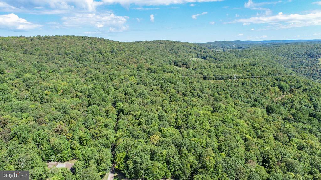 Lot 11 TURKEY RUN ROAD