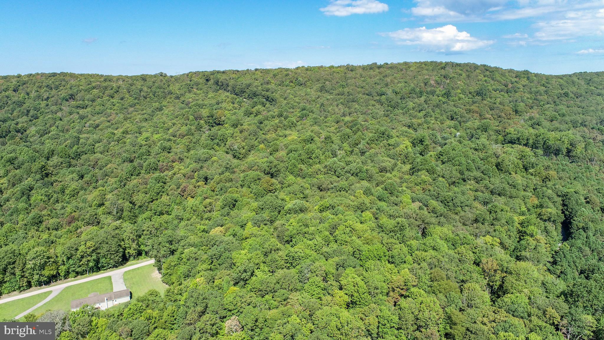 Lot 11 TURKEY RUN ROAD