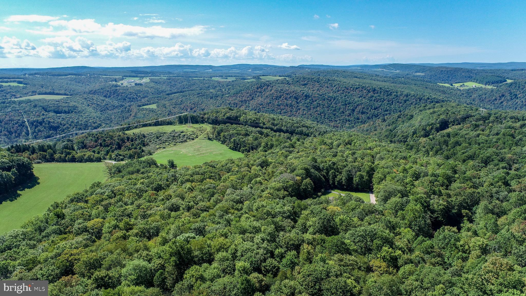 Lot 11 TURKEY RUN ROAD