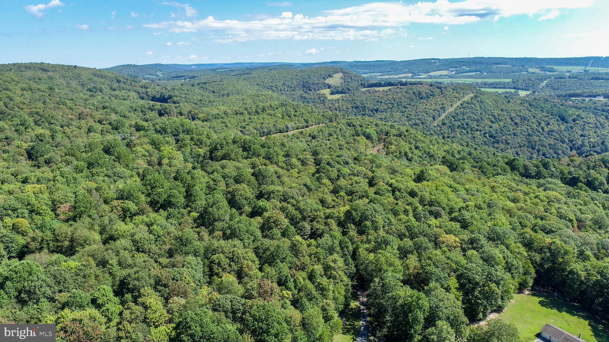 Lot 11 TURKEY RUN ROAD