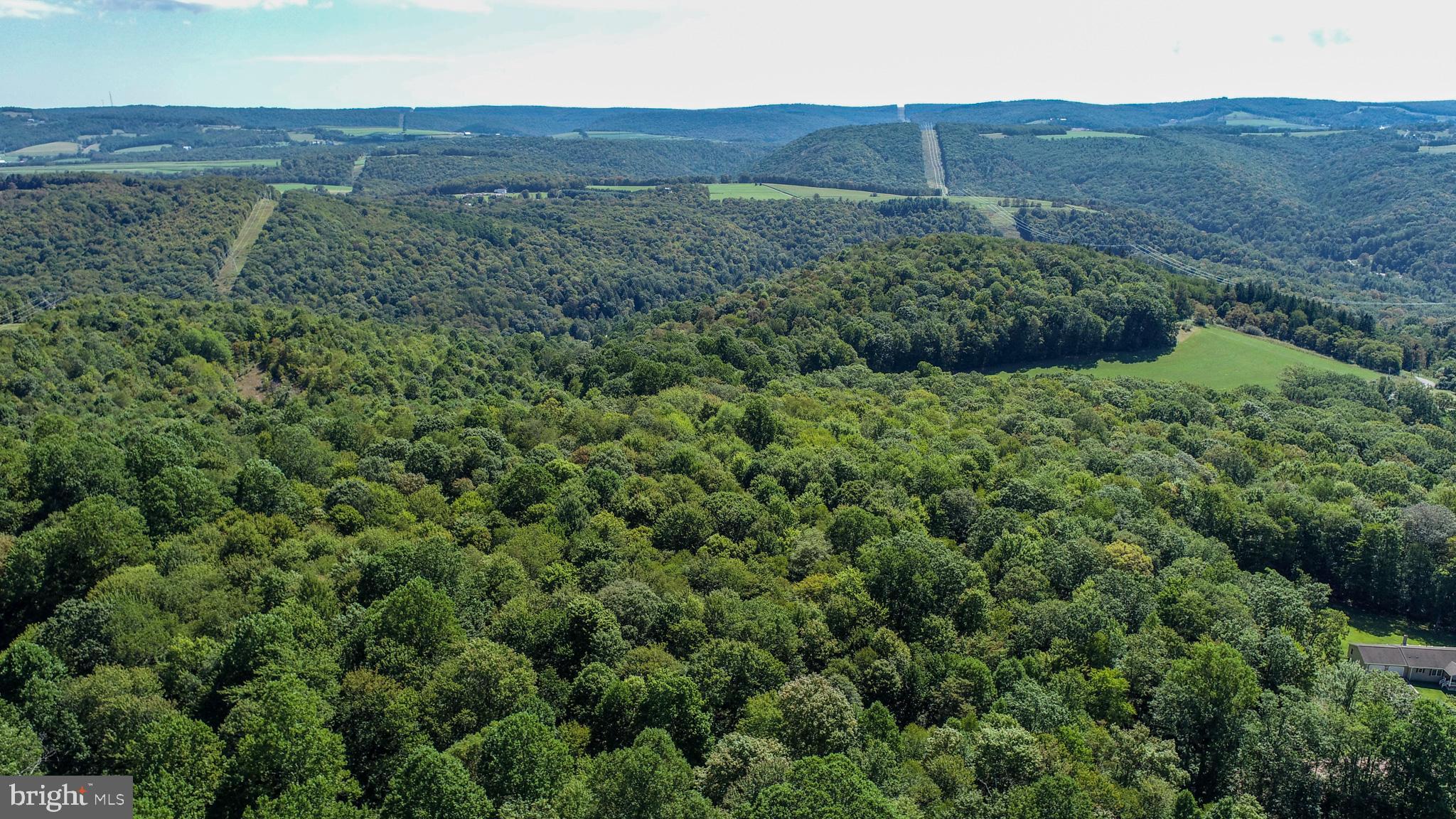 Lot 11 TURKEY RUN ROAD