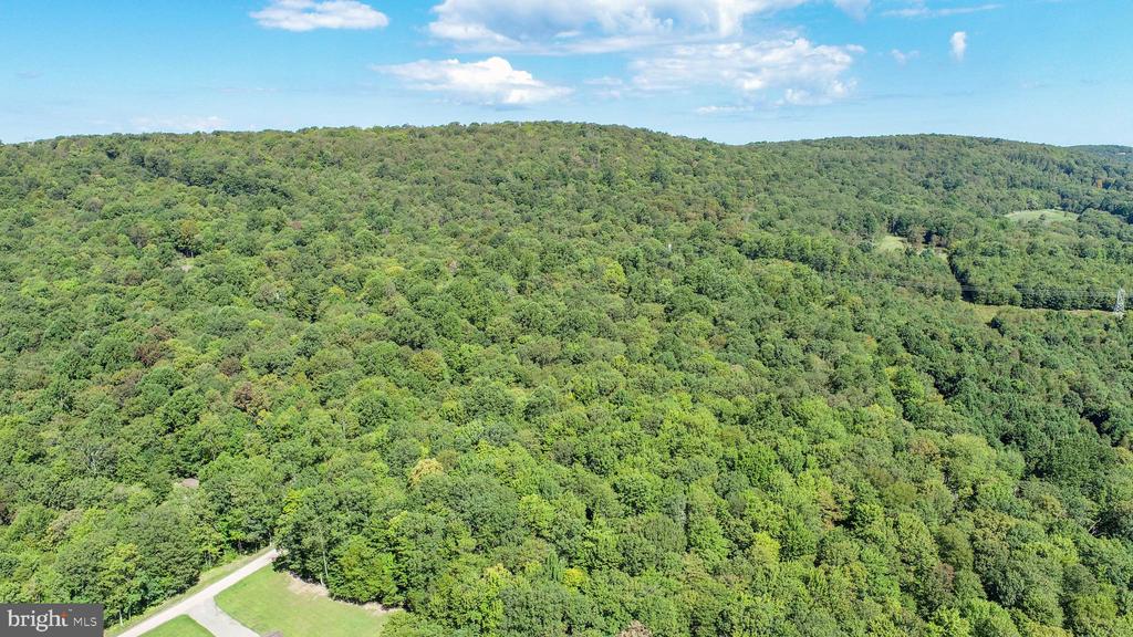 Lot 11 TURKEY RUN ROAD