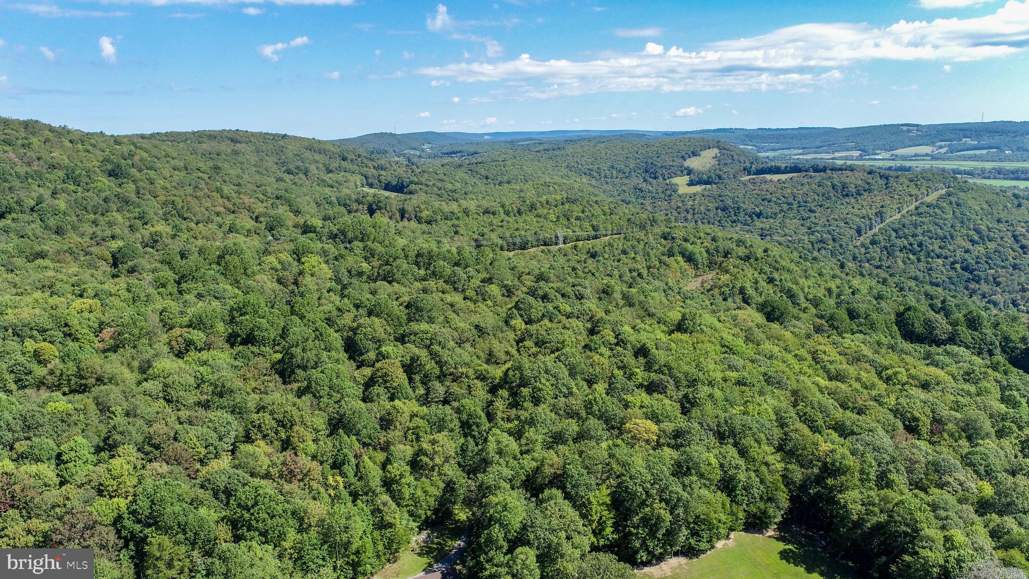 Lot 11 TURKEY RUN ROAD