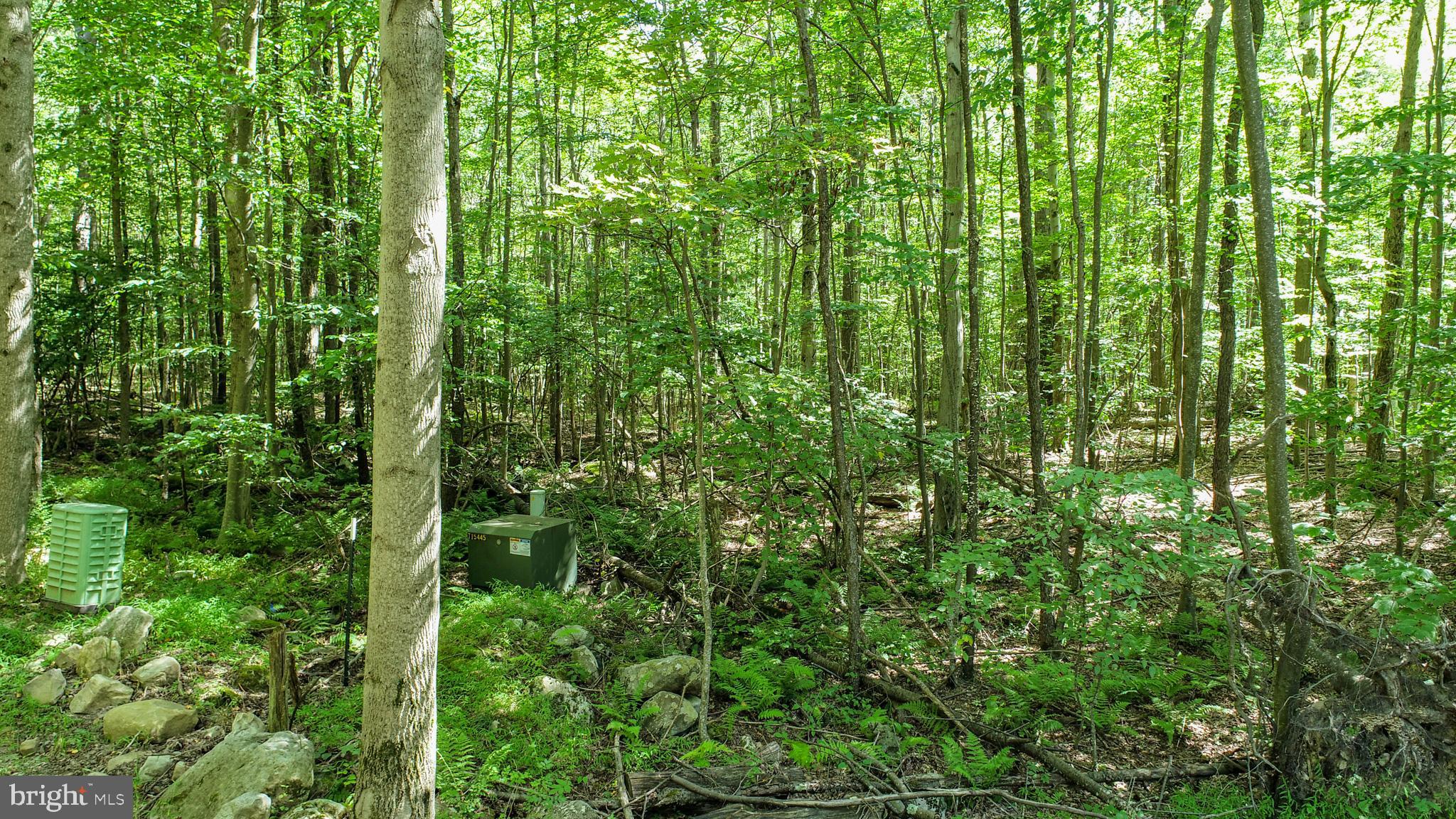 Lot 11 TURKEY RUN ROAD