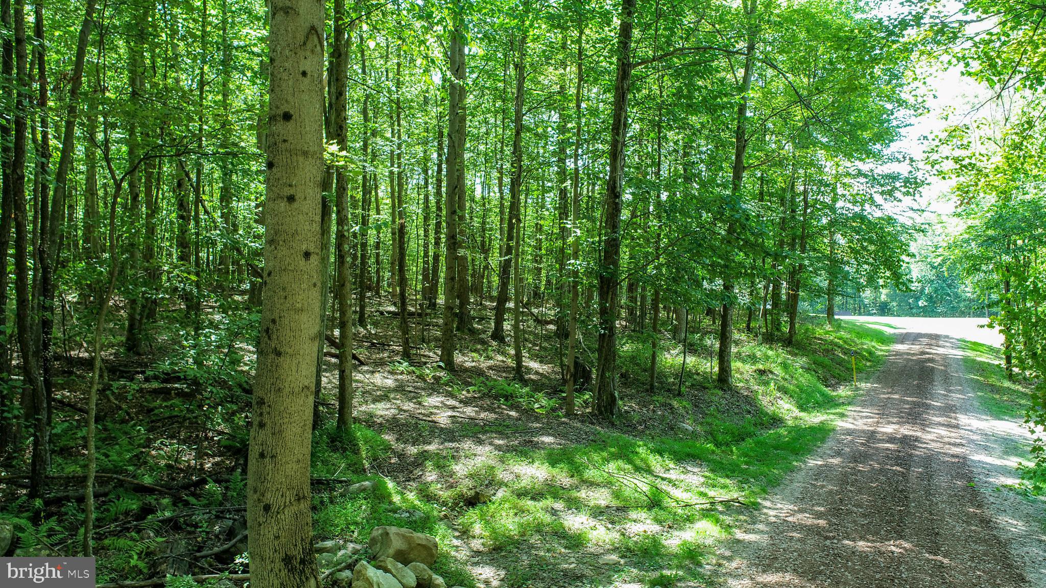 Lot 11 TURKEY RUN ROAD