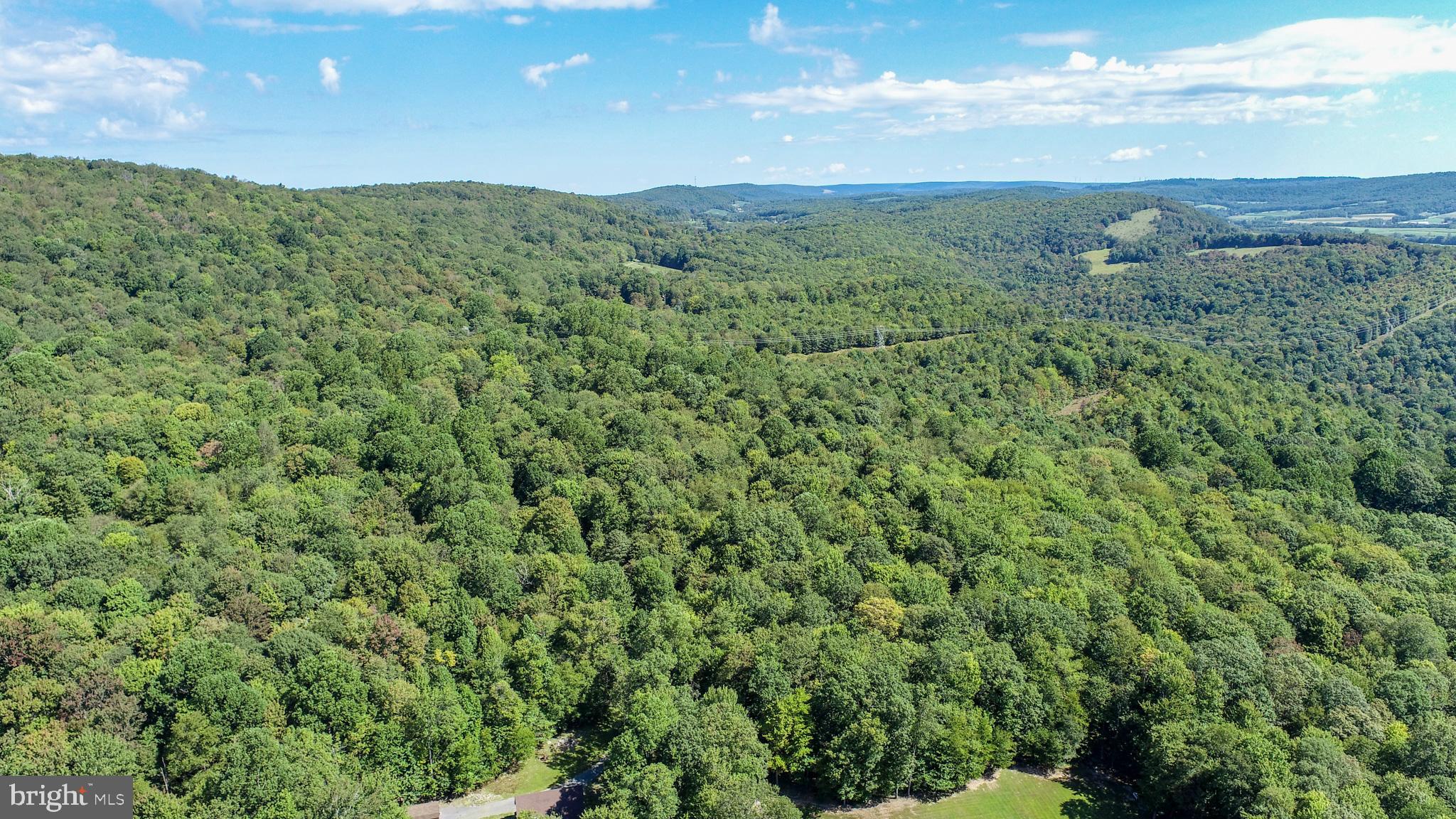 Lot 11 TURKEY RUN ROAD