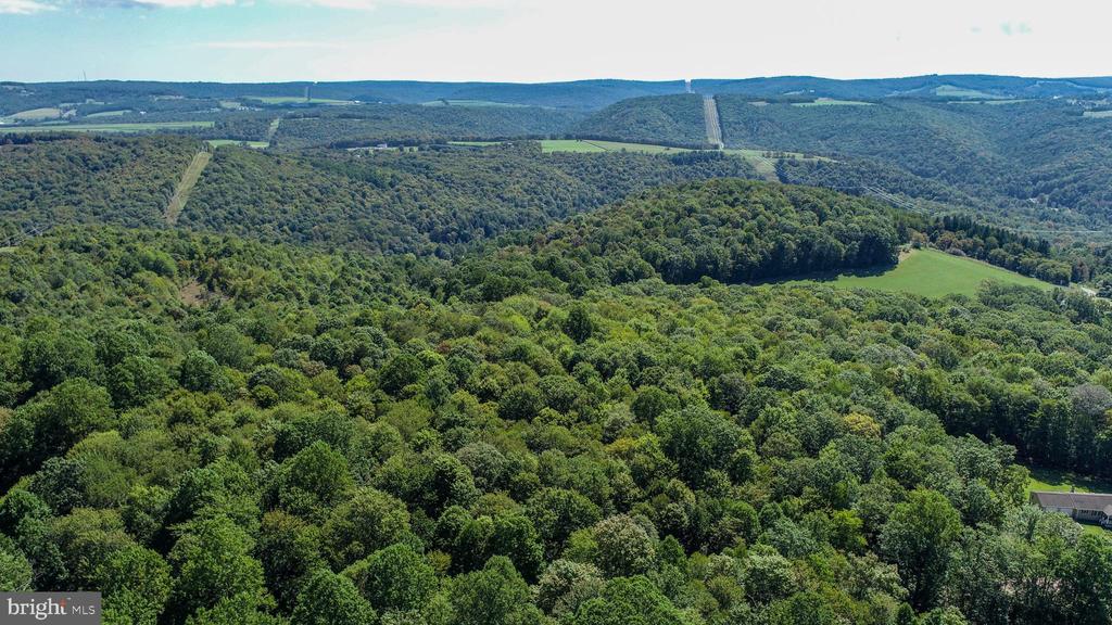 Lot 11 TURKEY RUN ROAD