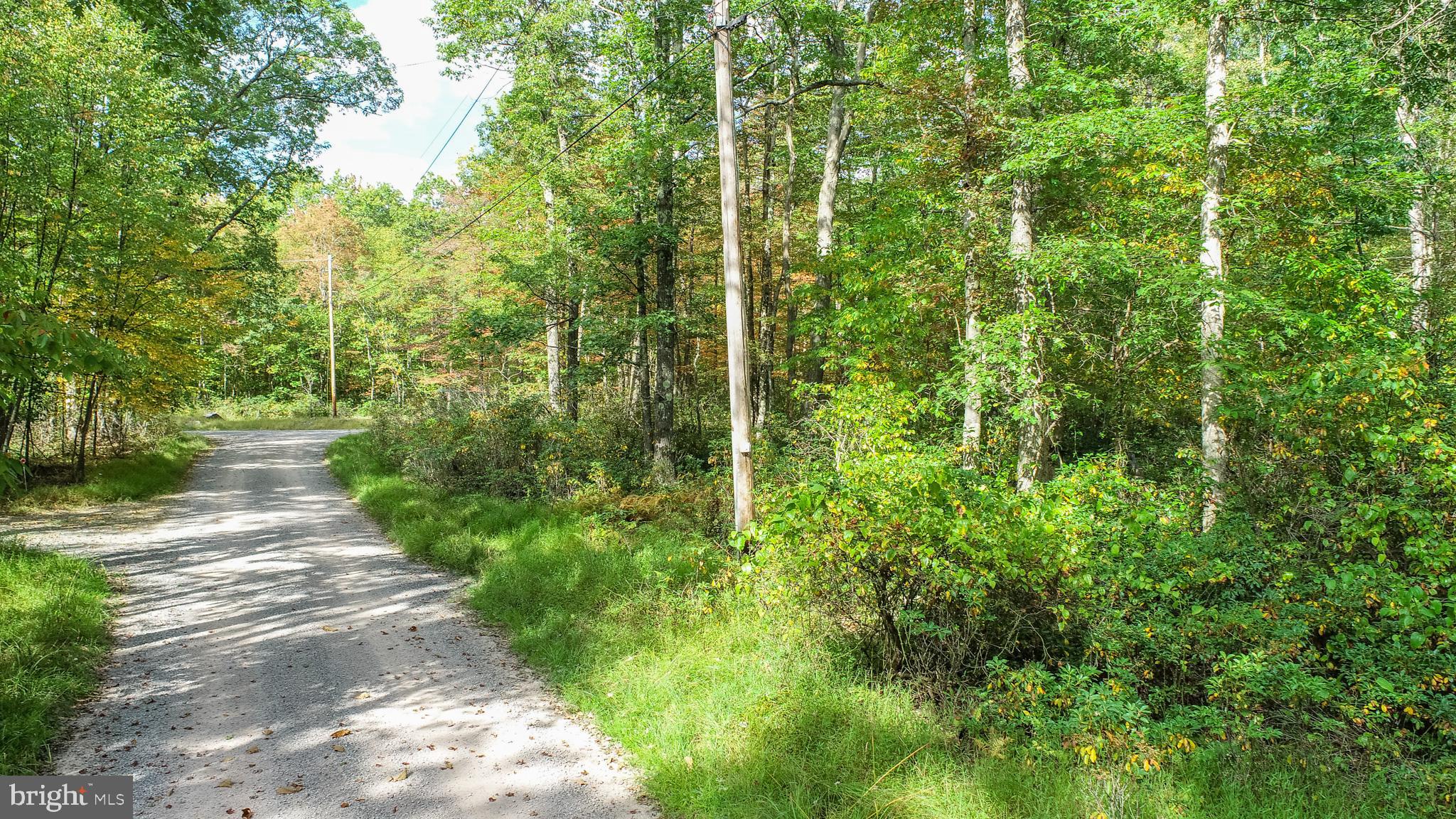 Lots 57 & 58 BLACK OAK DRIVE