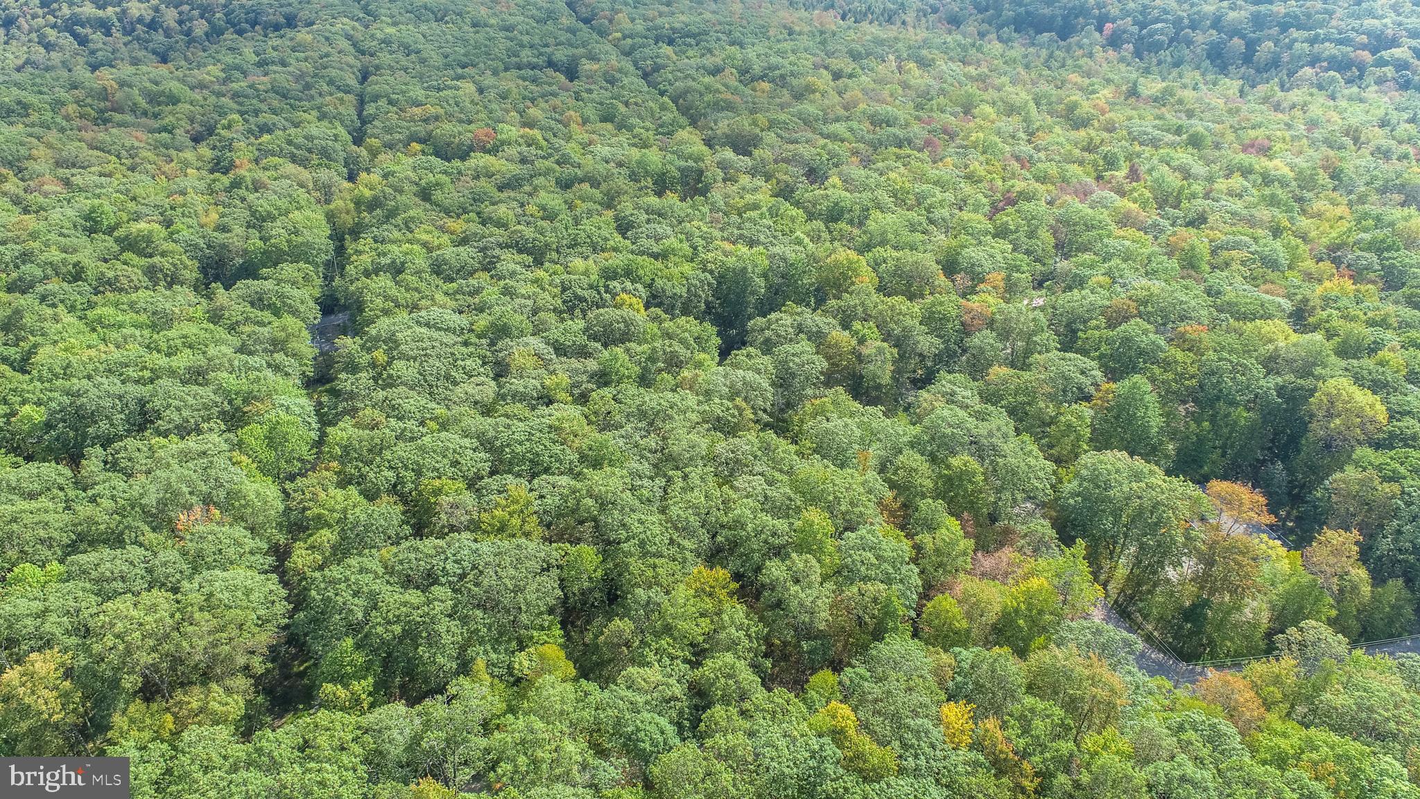 Lots 57 & 58 BLACK OAK DRIVE