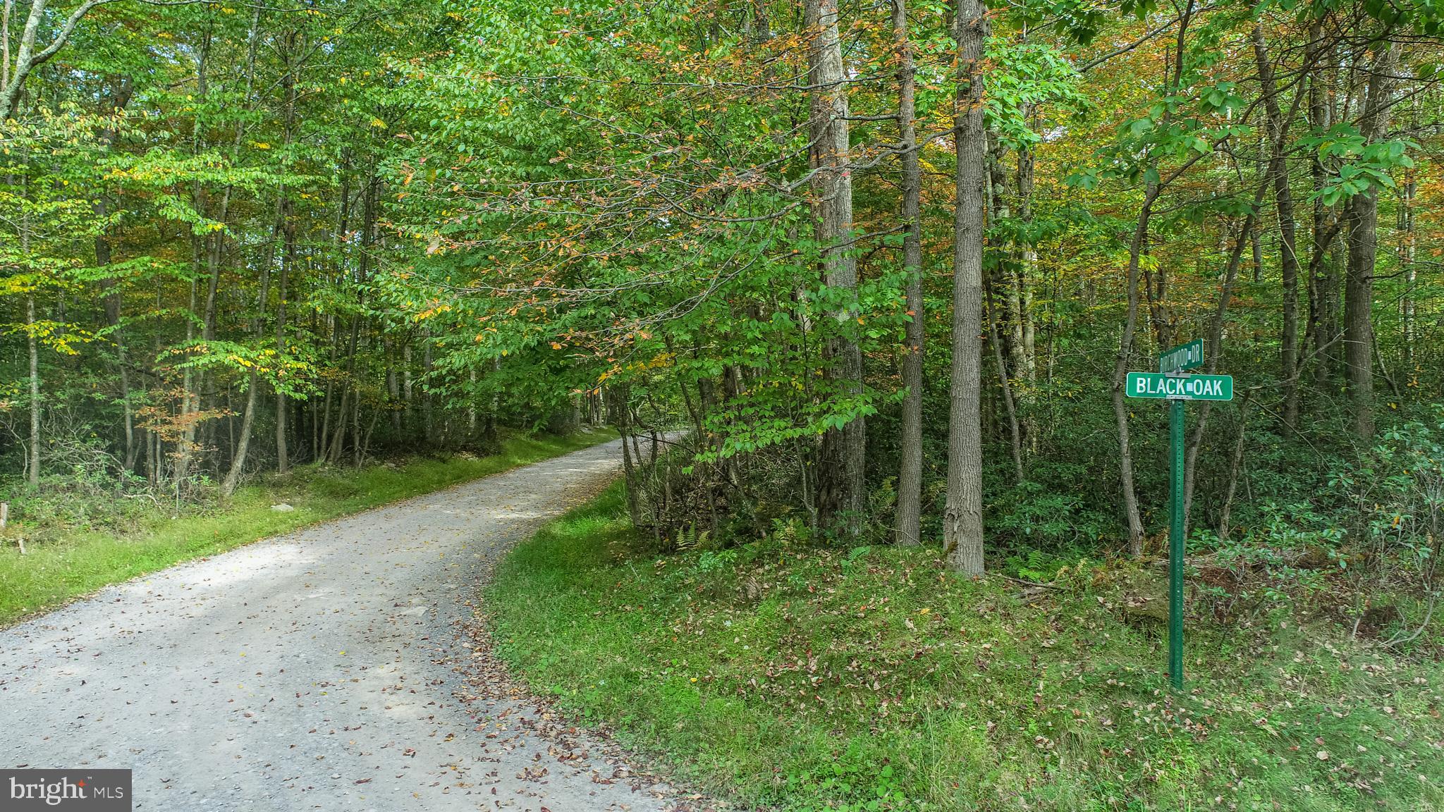Lots 57 & 58 BLACK OAK DRIVE