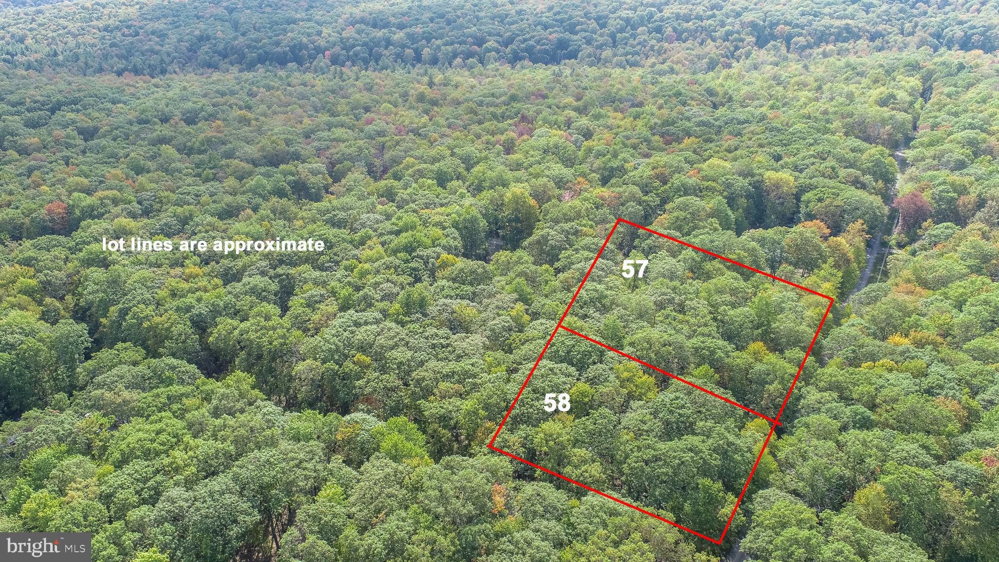 Lots 57 & 58 BLACK OAK DRIVE
