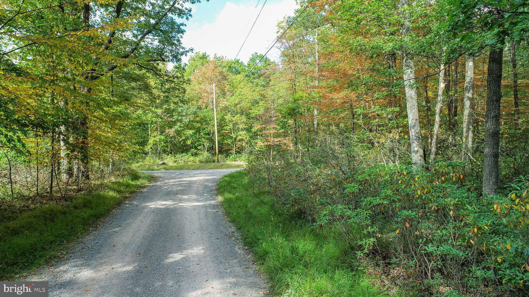 Lots 57 & 58 BLACK OAK DRIVE