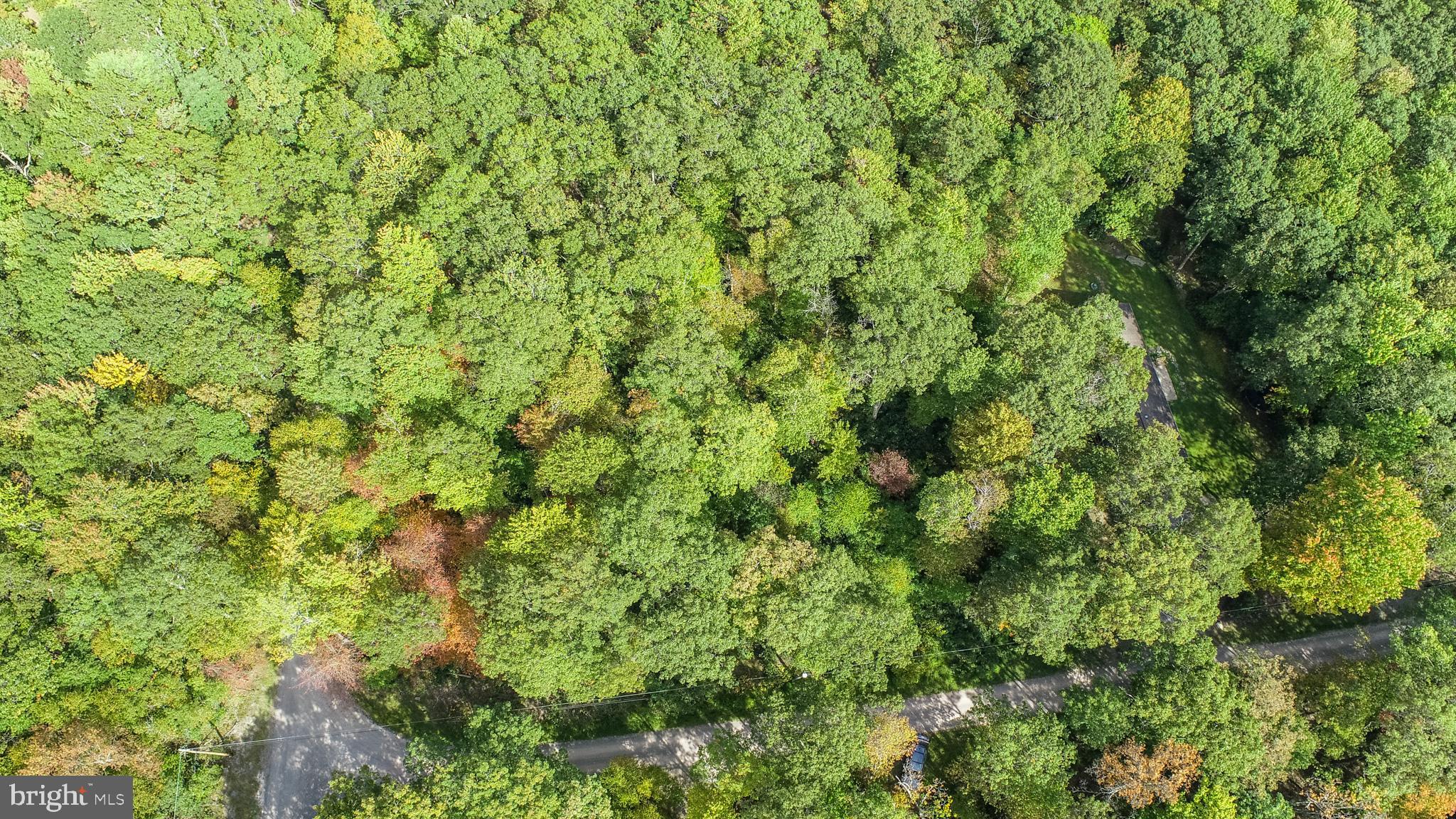 Lots 57 & 58 BLACK OAK DRIVE