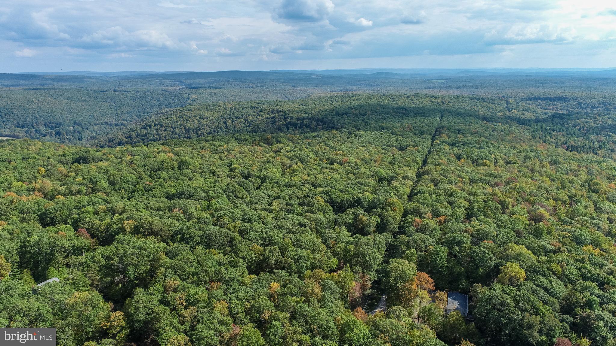 Lots 57 & 58 BLACK OAK DRIVE