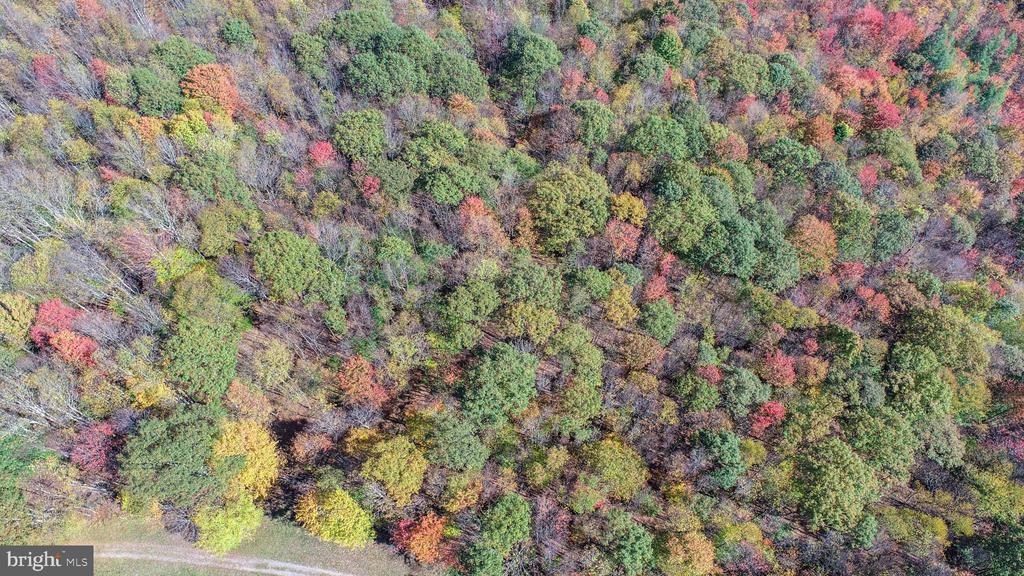 18 HOYE CREST ROAD