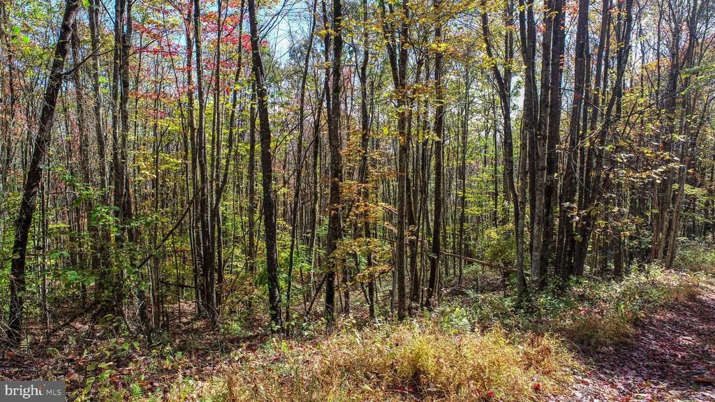 18 HOYE CREST ROAD