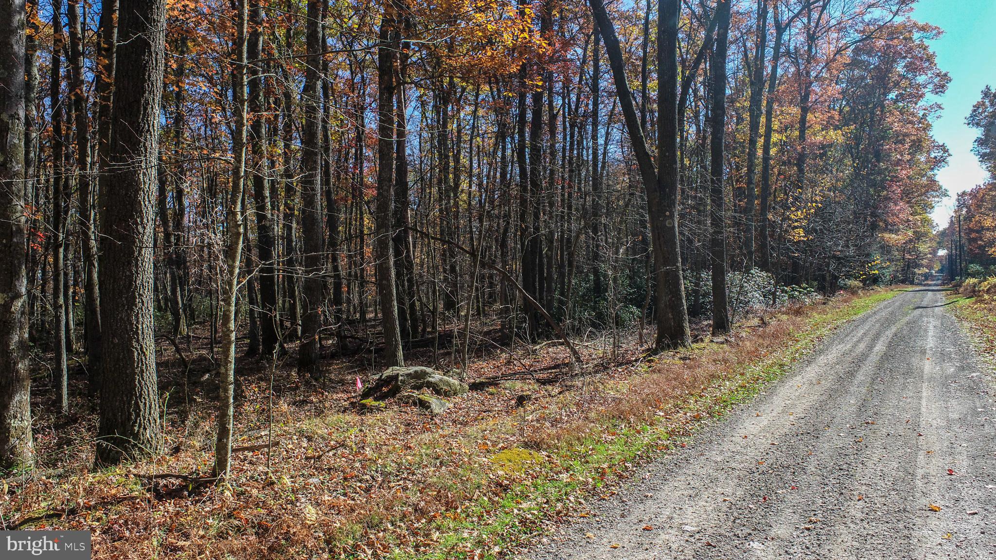 Lot 13 DOGWOOD DRIVE