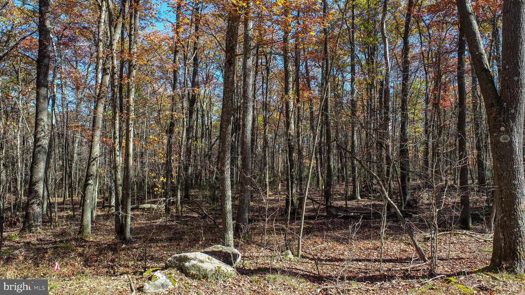 Lot 13 DOGWOOD DRIVE