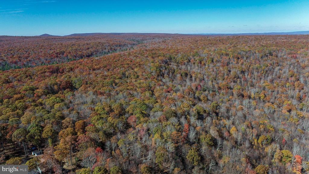 Lot 13 DOGWOOD DRIVE