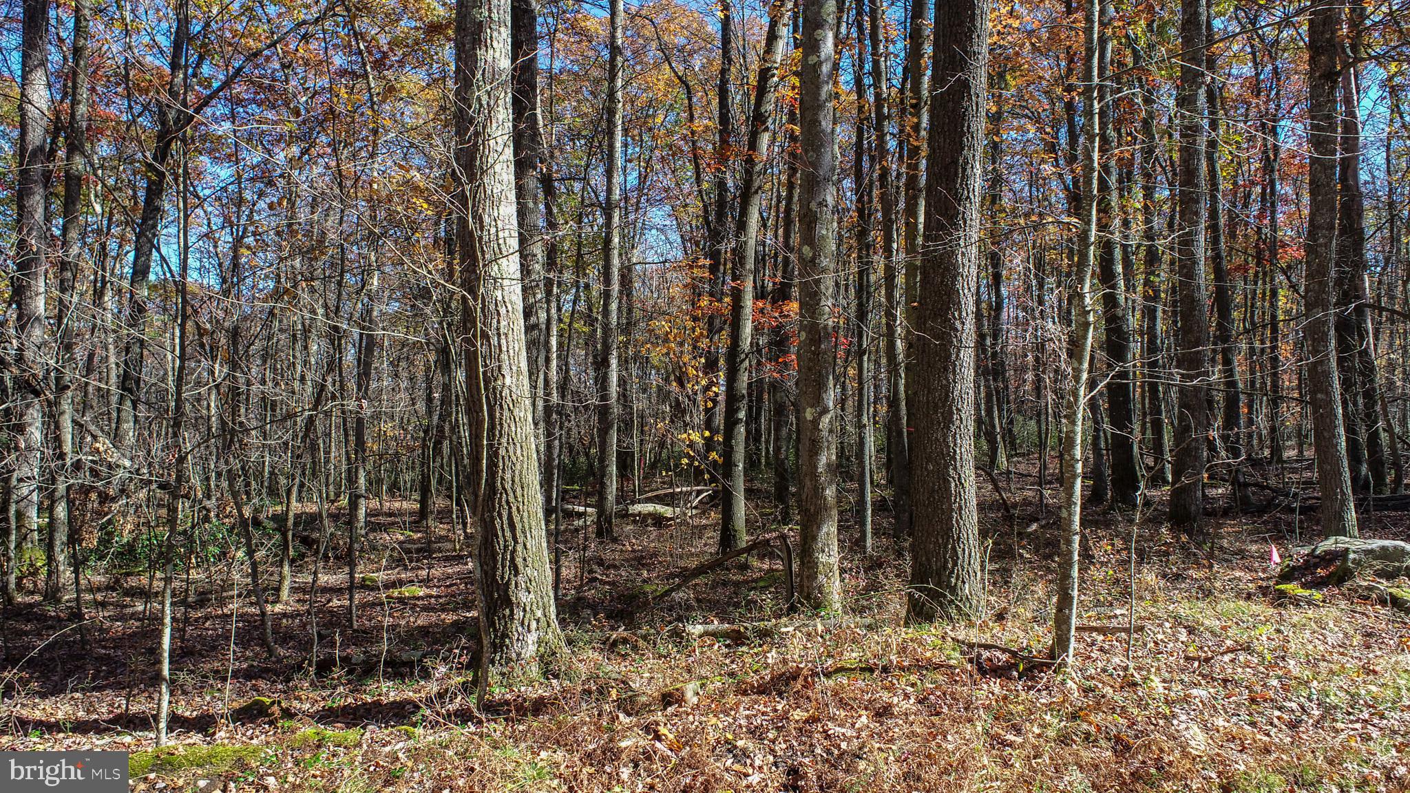 Lot 13 DOGWOOD DRIVE