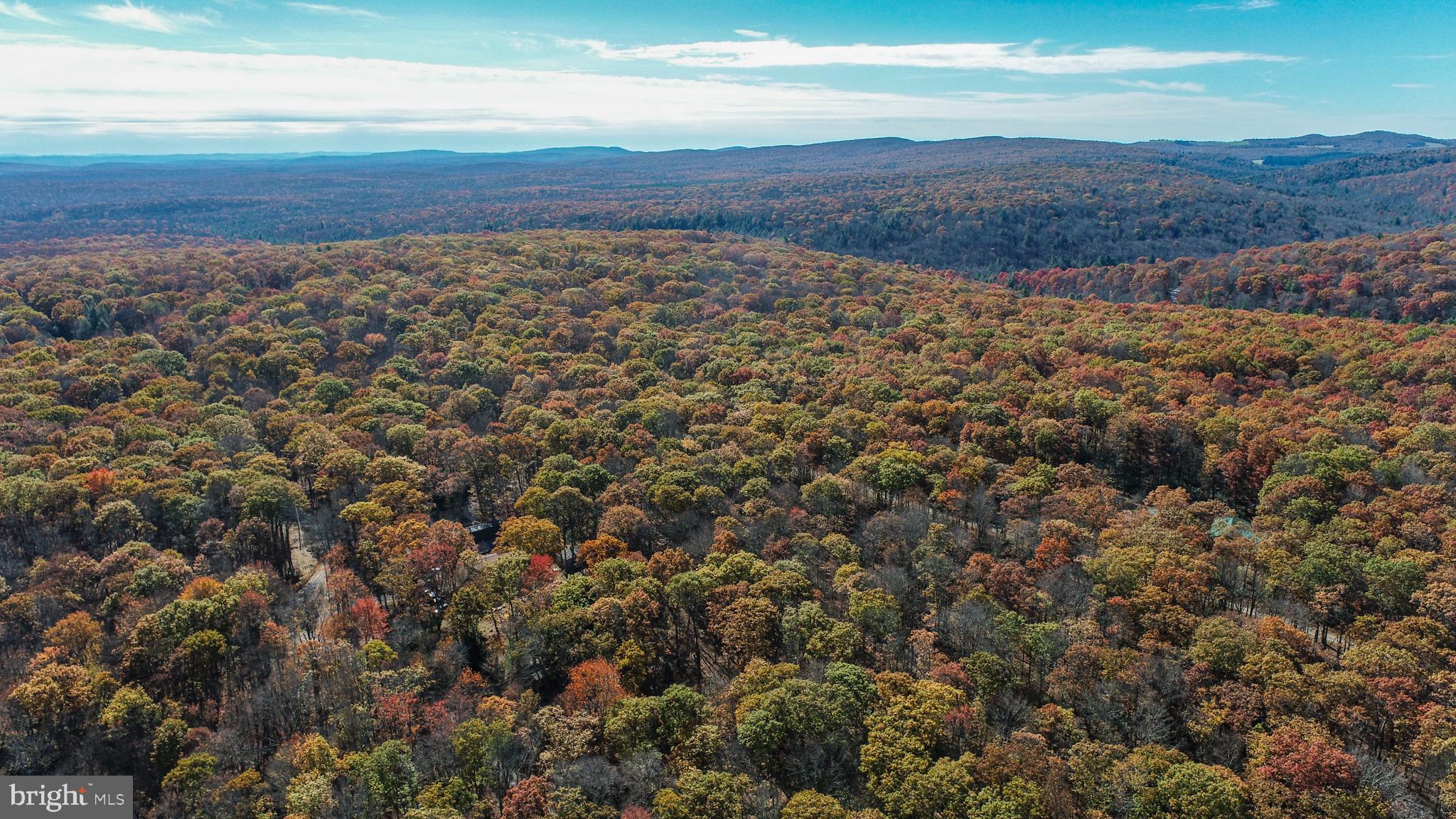 Lot 13 DOGWOOD DRIVE