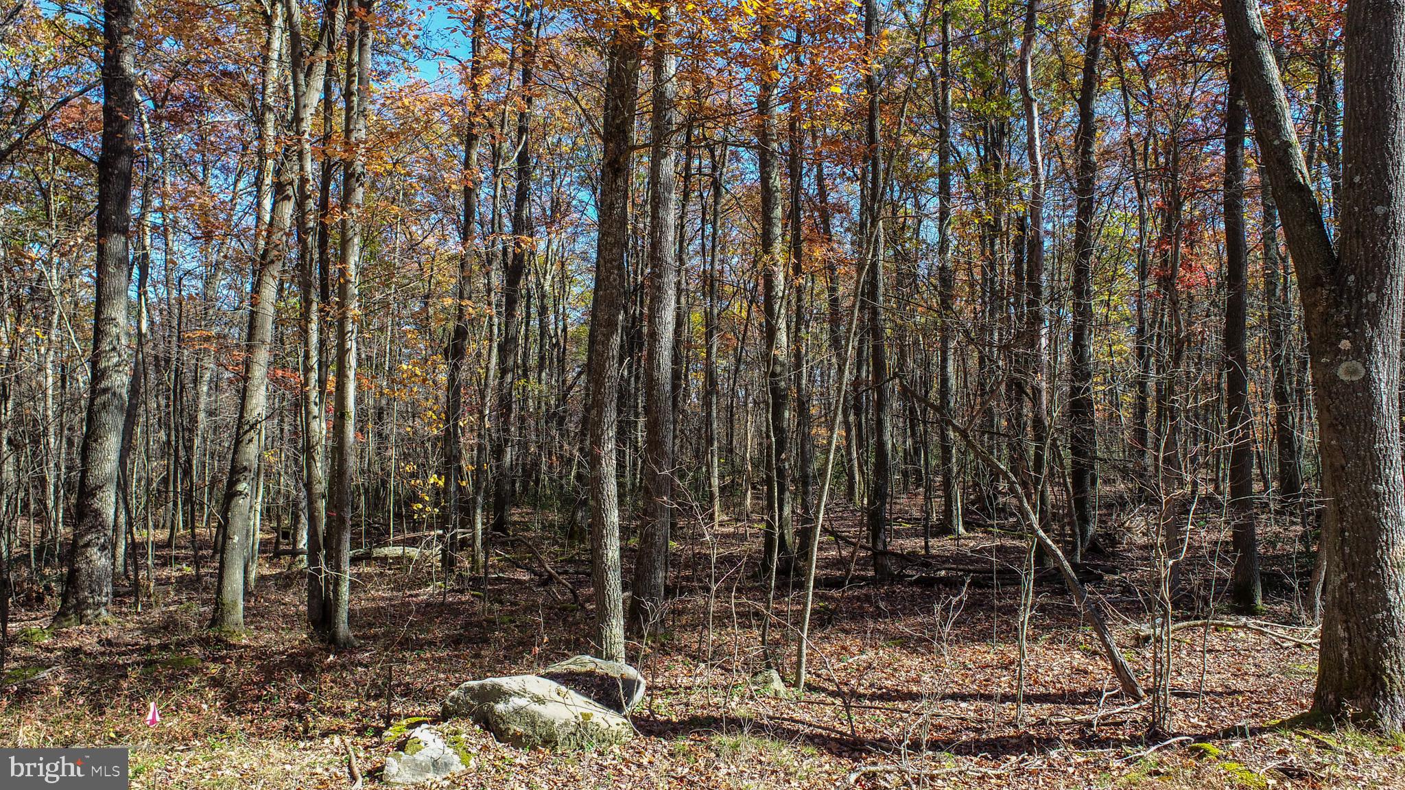 Lot 13 DOGWOOD DRIVE