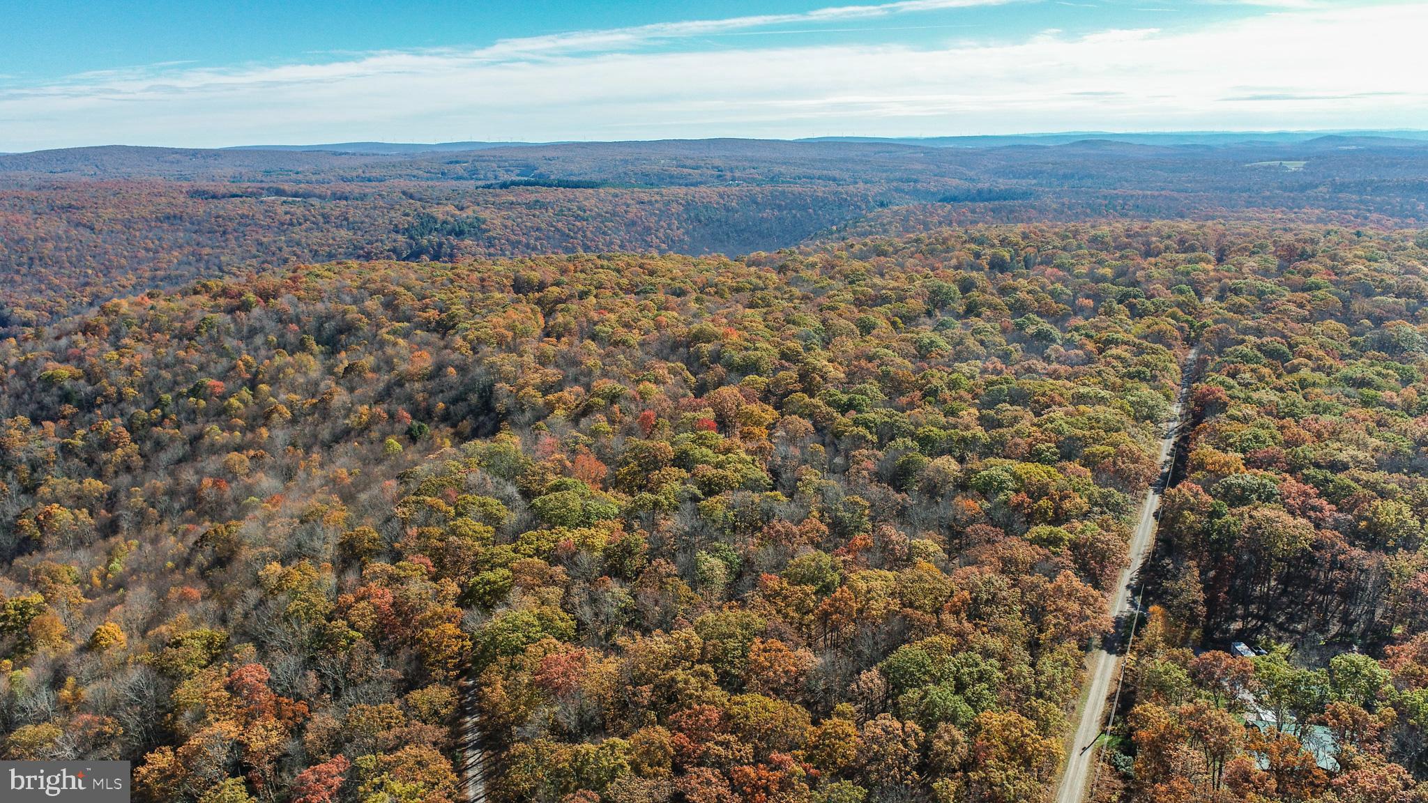 Lot 13 DOGWOOD DRIVE