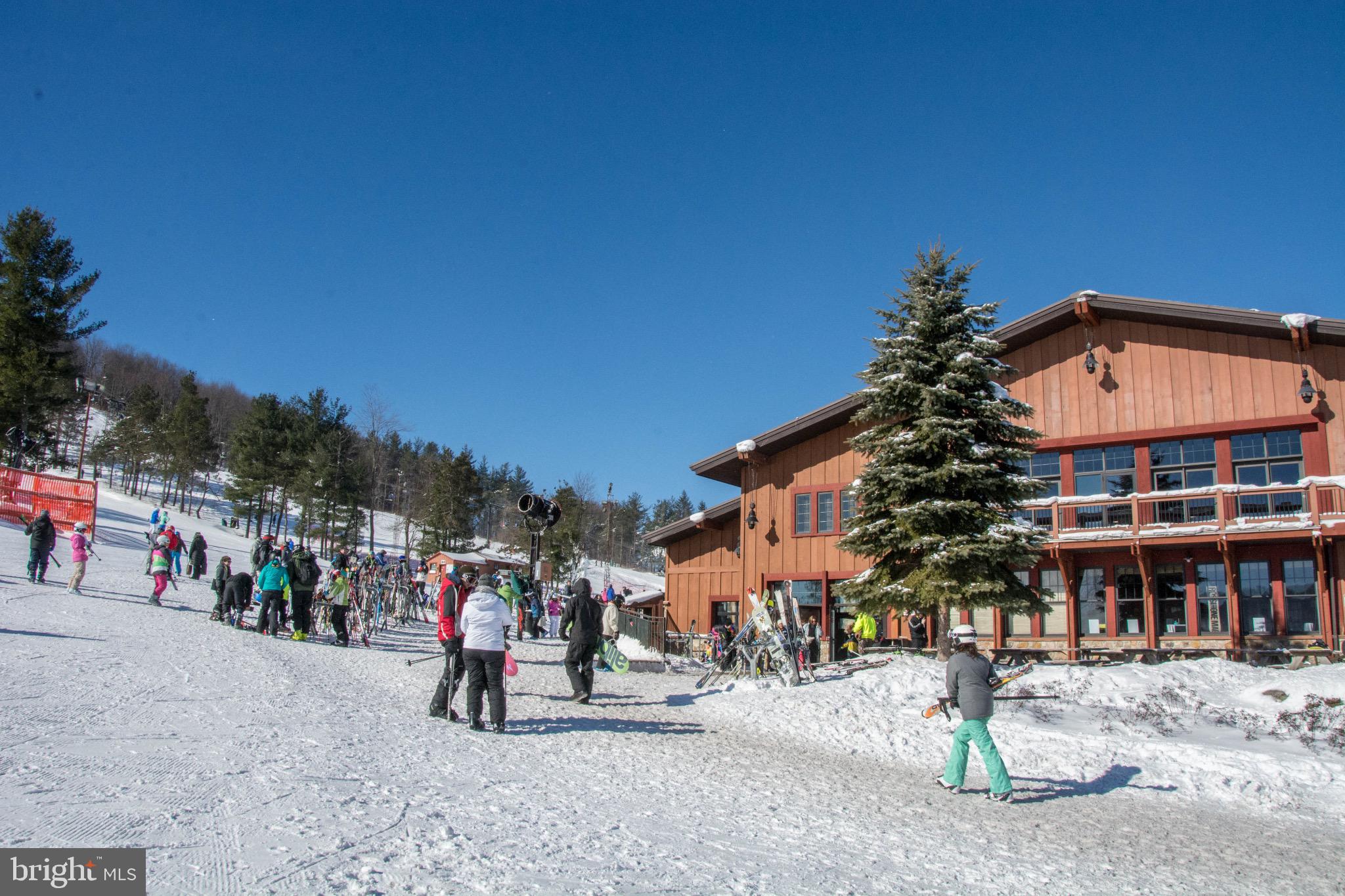 290 MARSH HILL ROAD 319C