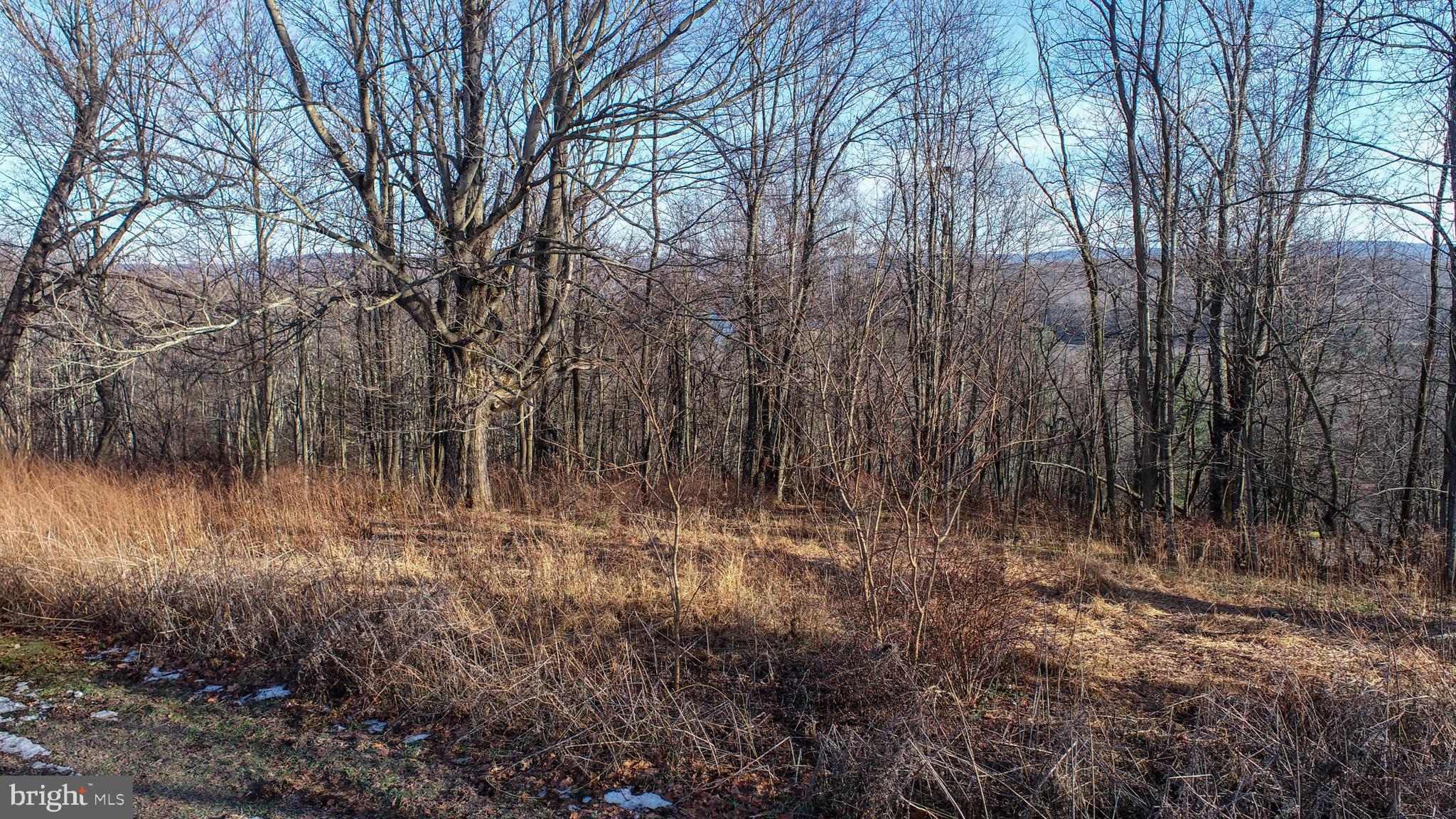 Lot 20 PARADISE RIDGE ROAD