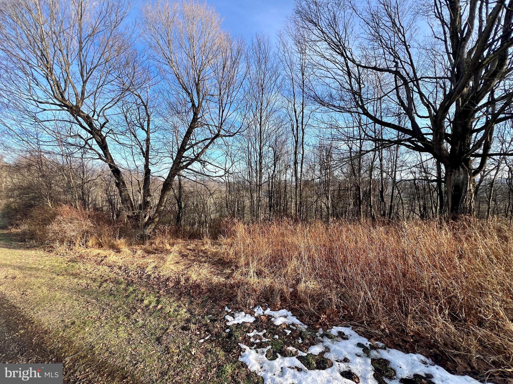 Lot 20 PARADISE RIDGE ROAD