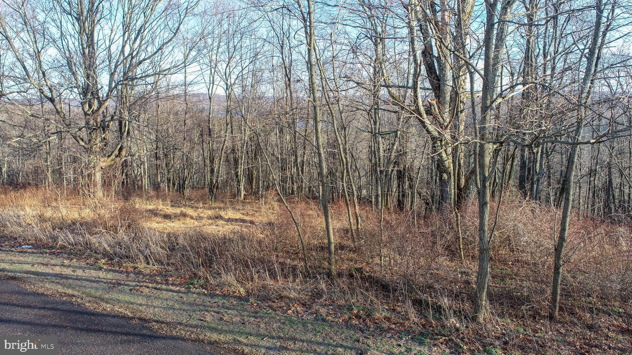 Lot 20 PARADISE RIDGE ROAD