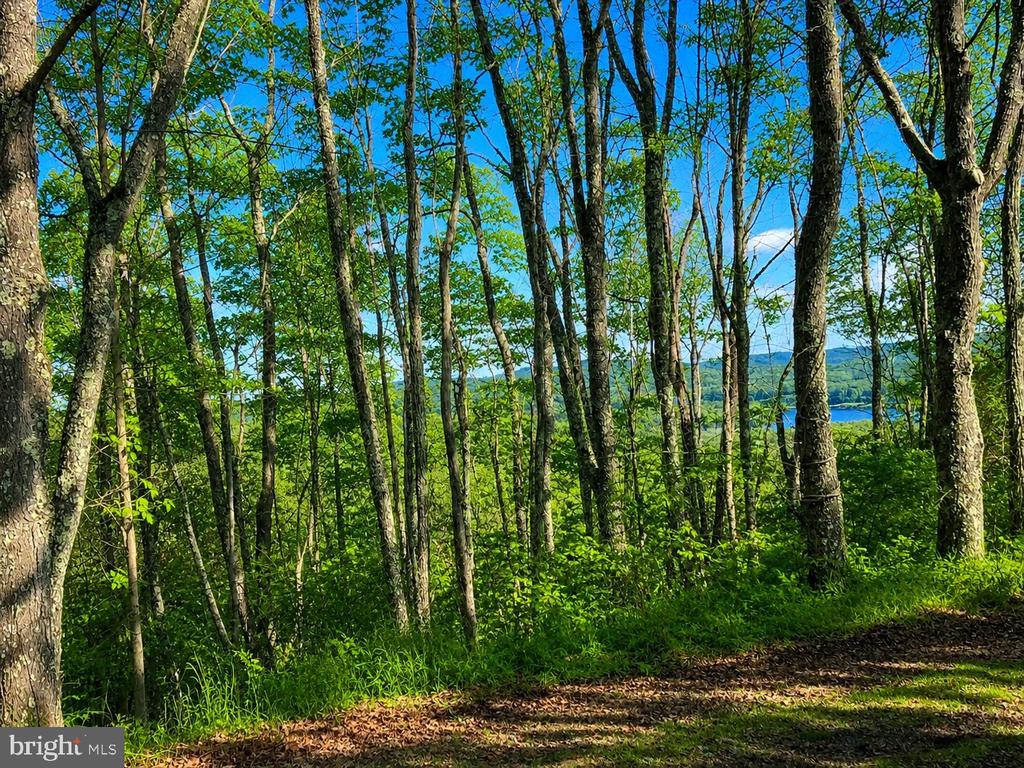 Lot 20 PARADISE RIDGE ROAD
