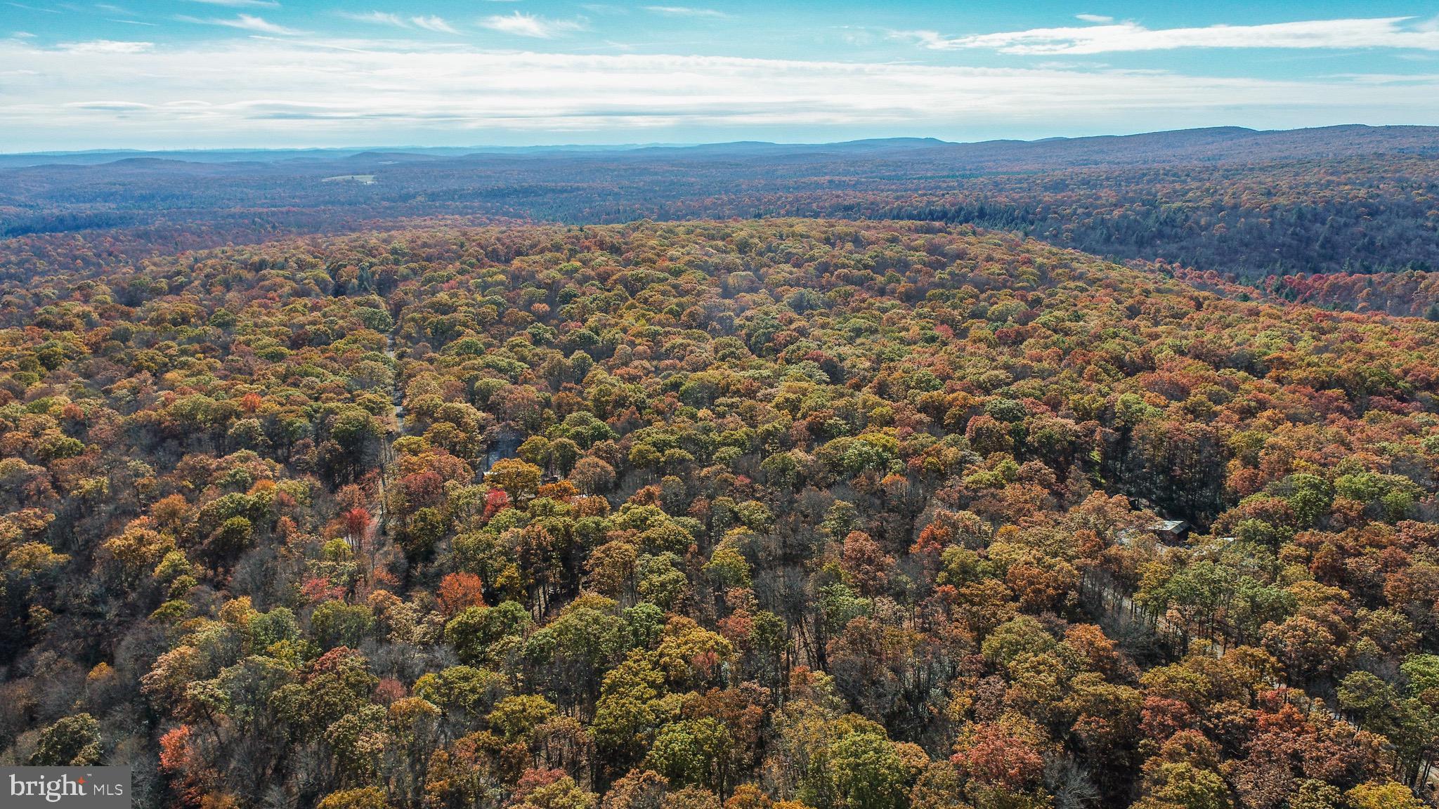 Lot 17 BIRCHWOOD DRIVE