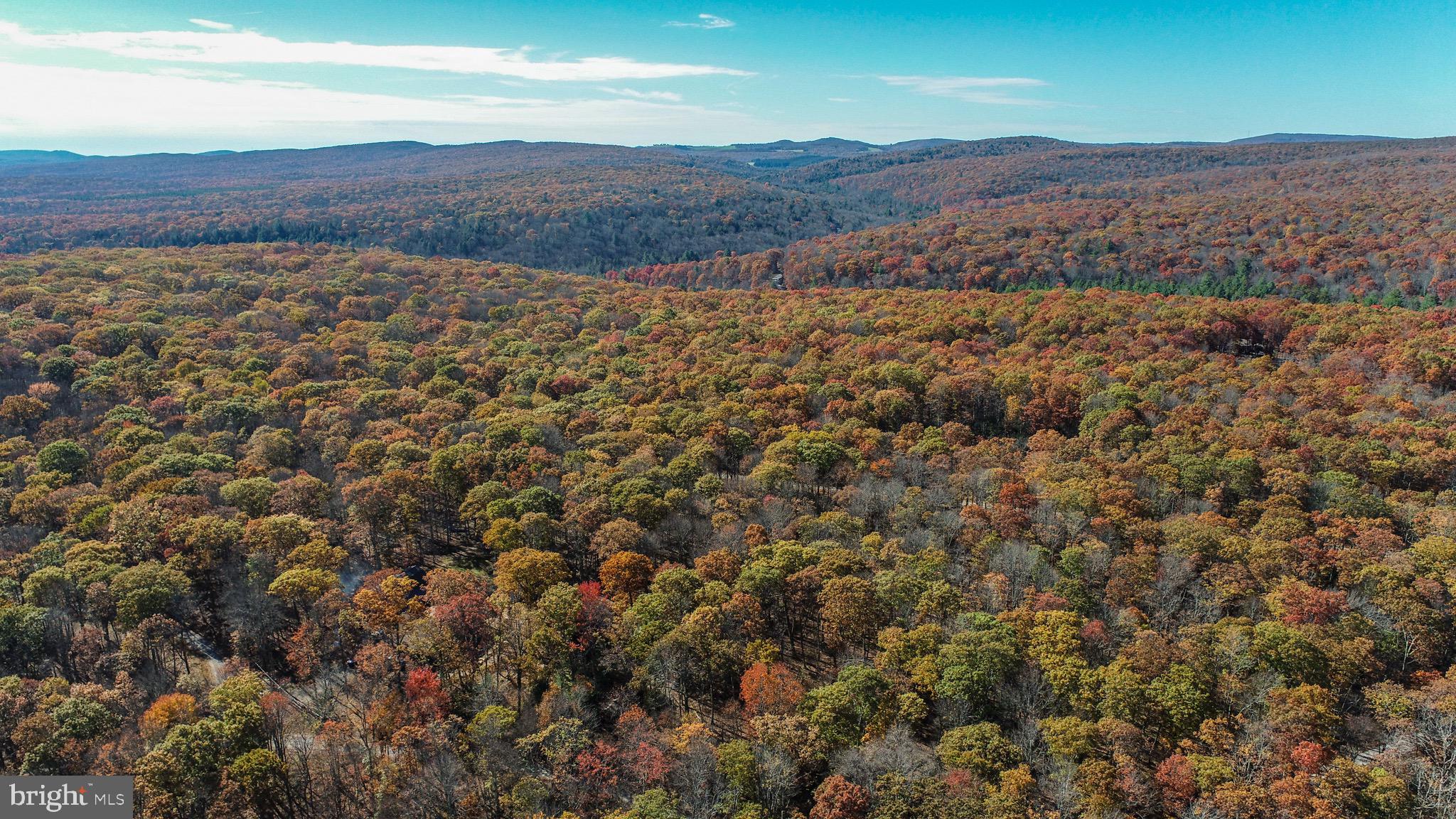 Lot 17 BIRCHWOOD DRIVE