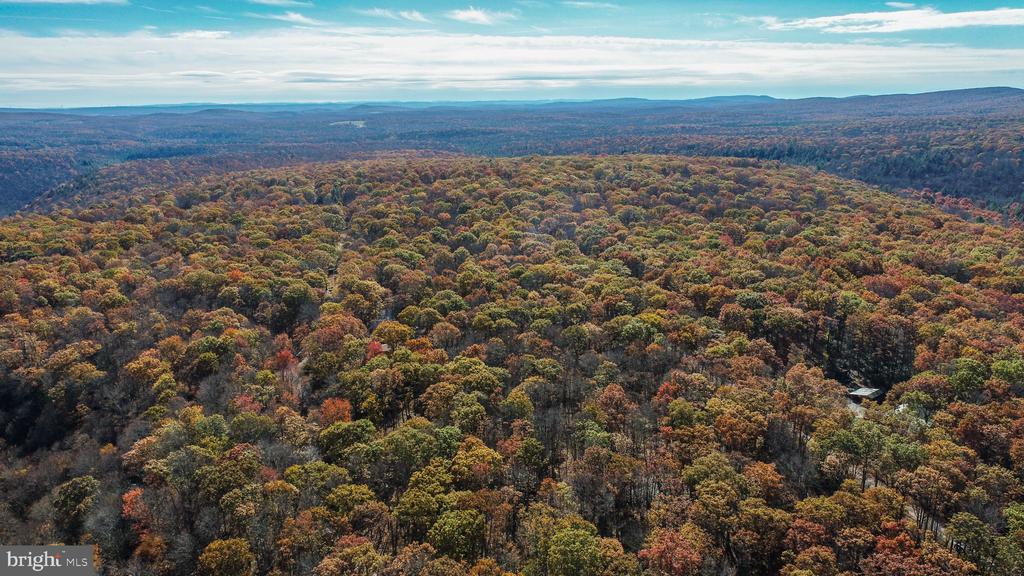 Lot 17 BIRCHWOOD DRIVE