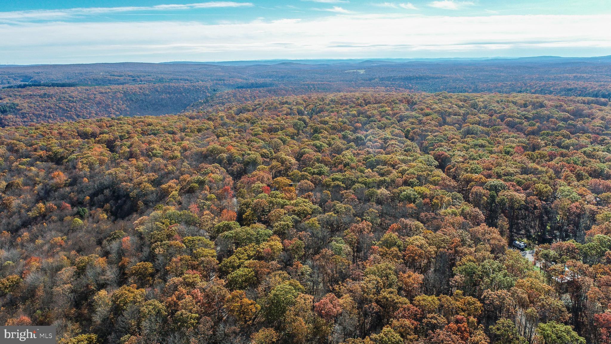 Lot 17 BIRCHWOOD DRIVE