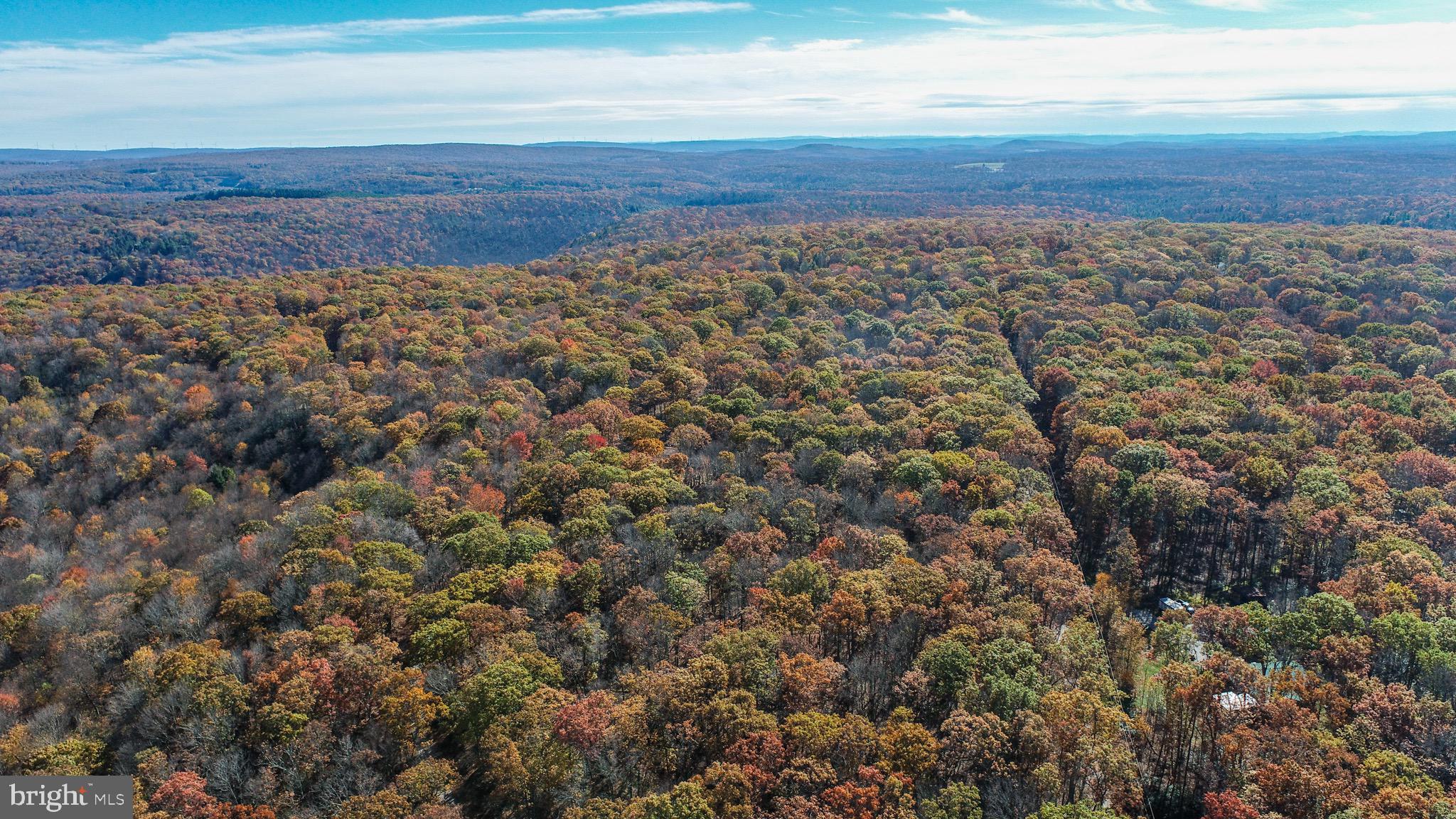 Lot 17 BIRCHWOOD DRIVE