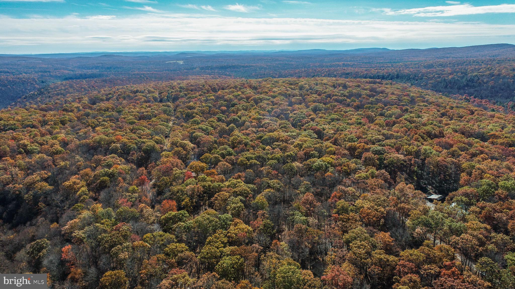 Lot 17 BIRCHWOOD DRIVE