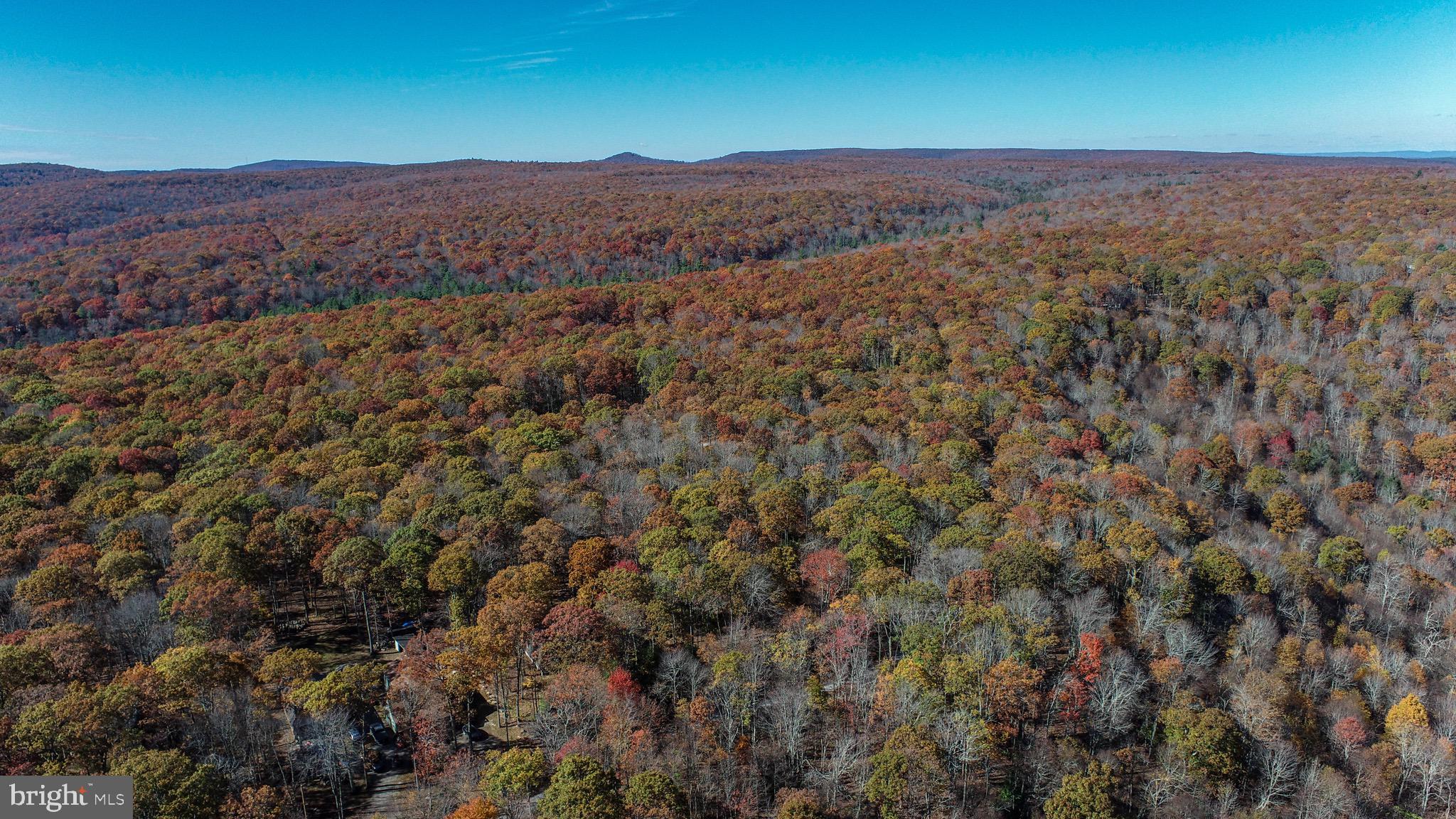 Lot 17 BIRCHWOOD DRIVE