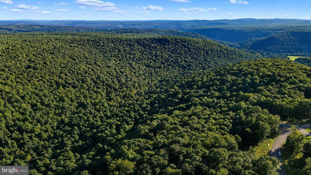 Lot 168 FORK RUN TRAIL
